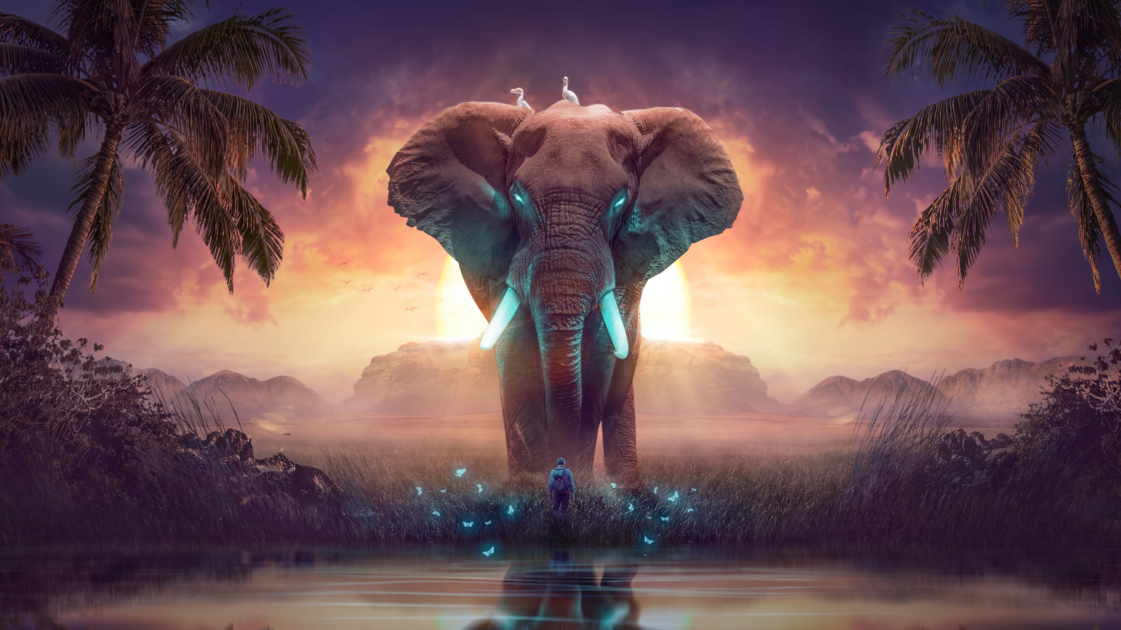 Elephant Wallpaper 4K, Dream, Mysterious, Surreal