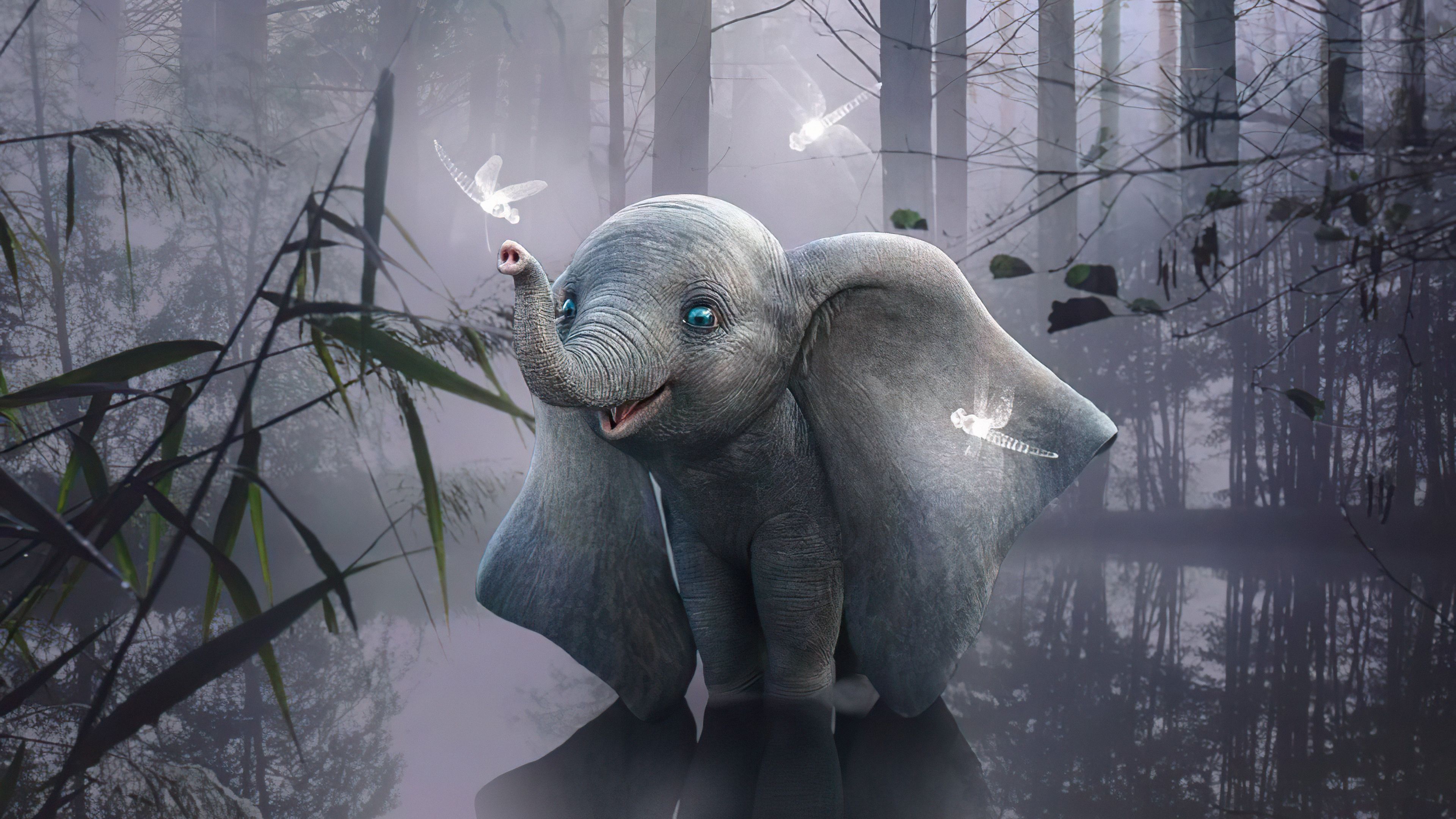 Elephant Is This Heaven 4k, HD Artist, 4k Wallpaper, Image, Background, Photo and Picture