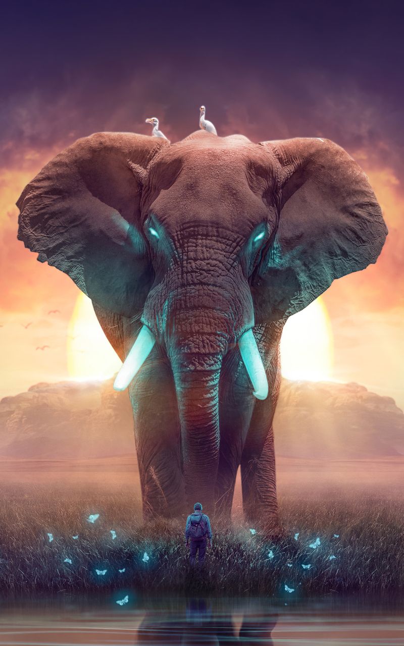 The Elephant Dream Nexus Samsung Galaxy Tab Note Android Tablets HD 4k Wallpaper, Image, Background, Photo and Picture