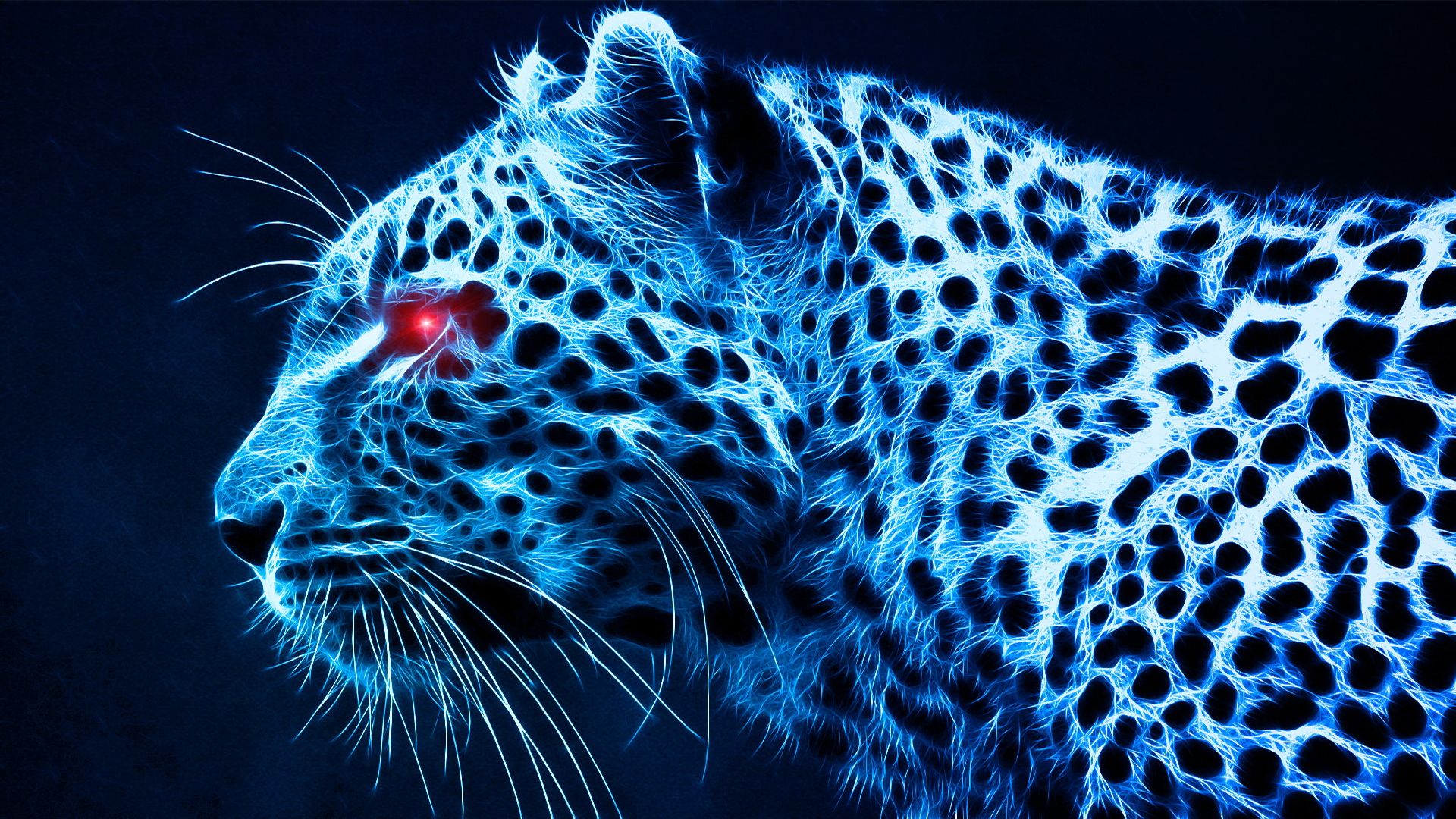 Leopard wallpaperx1080