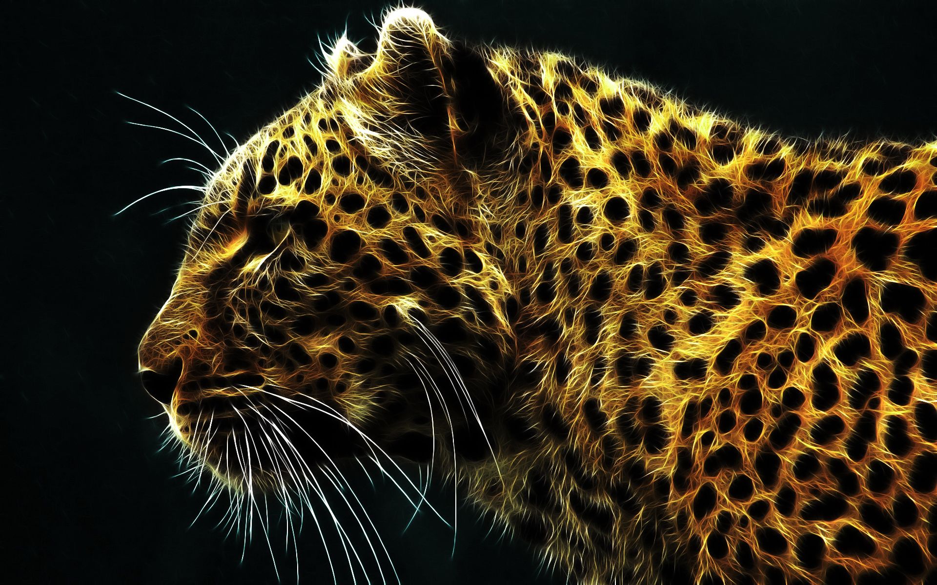 Leopard HD Wallpaper and Background