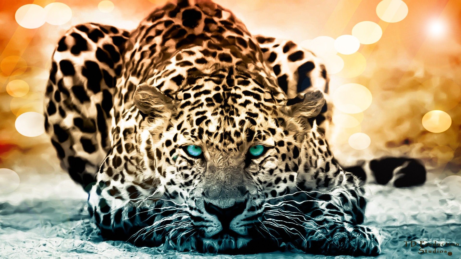 Leopard HD Wallpaper and Background