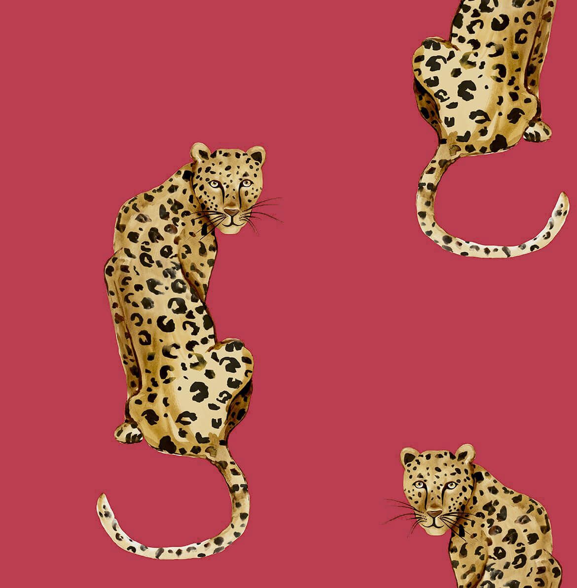 Daisy Bennett Leopard King Peel & Stick Wallpaper