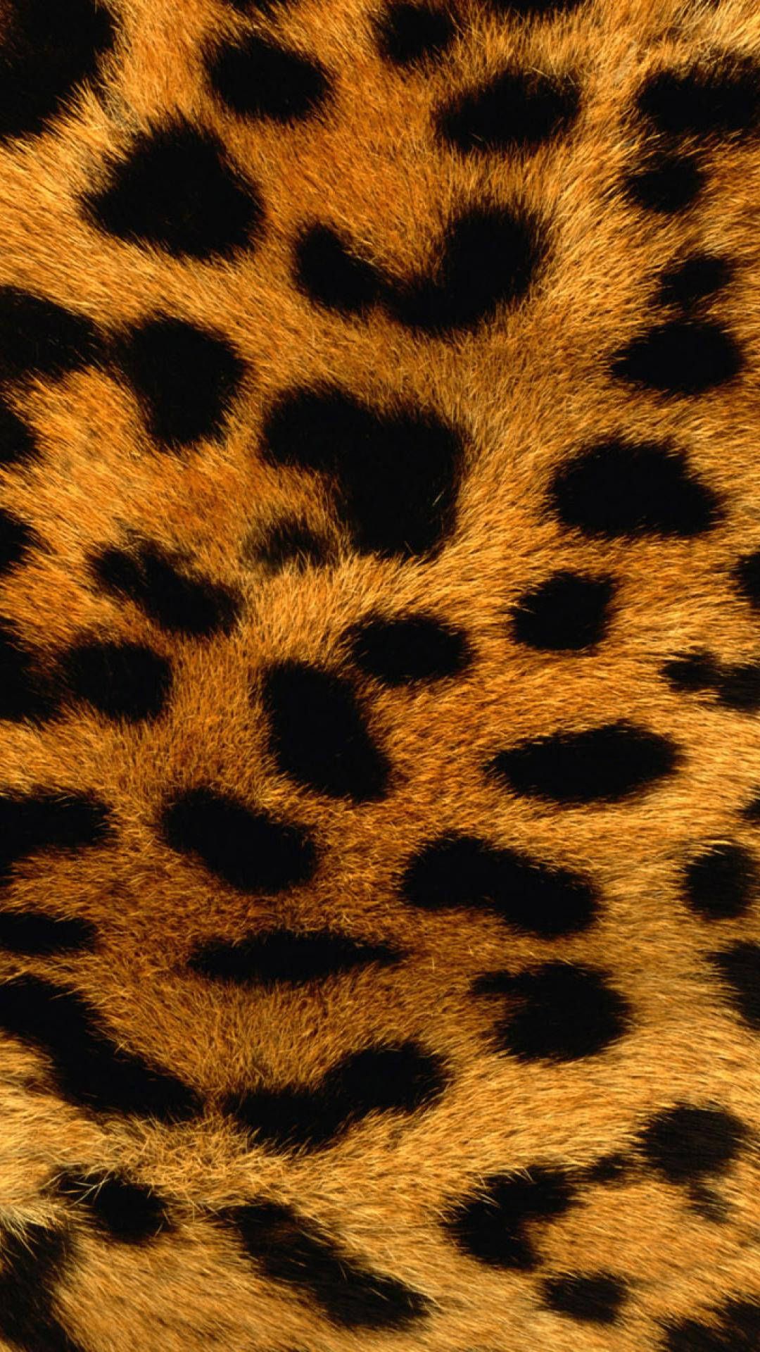 Leopard Print Wallpaper