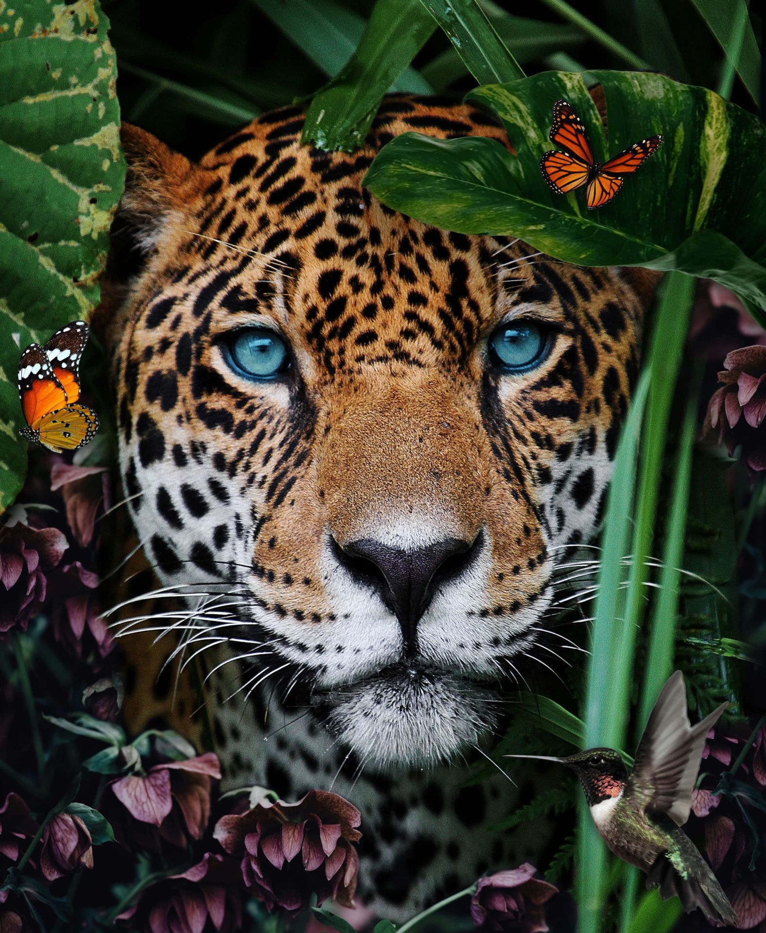 Jungle Leopard