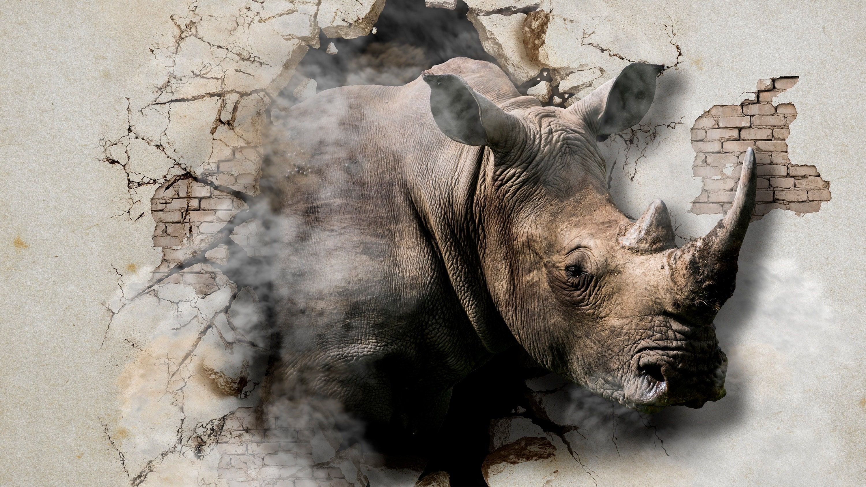 3D Wallpaper Rhinoceros From the Wall Wallcovering on