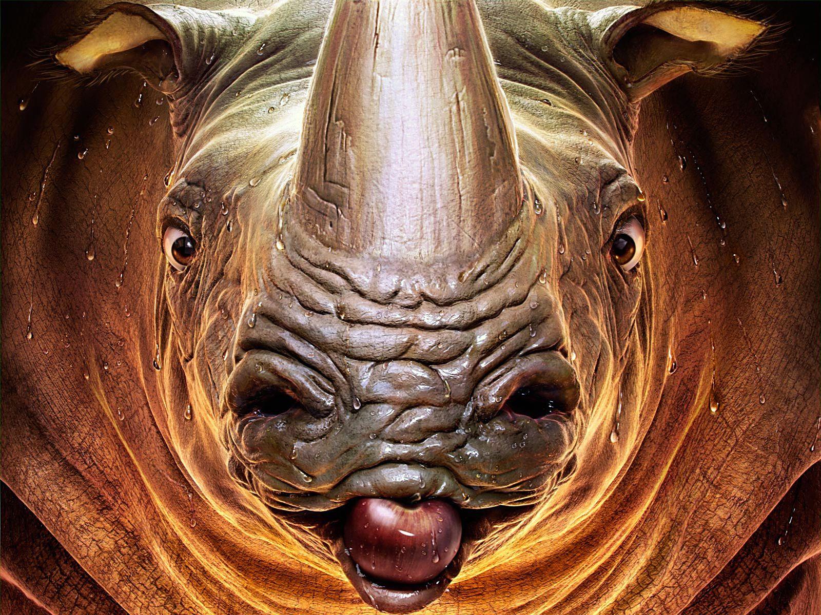 Desktop Wallpaper Rhino Fantasy Snout Closeup