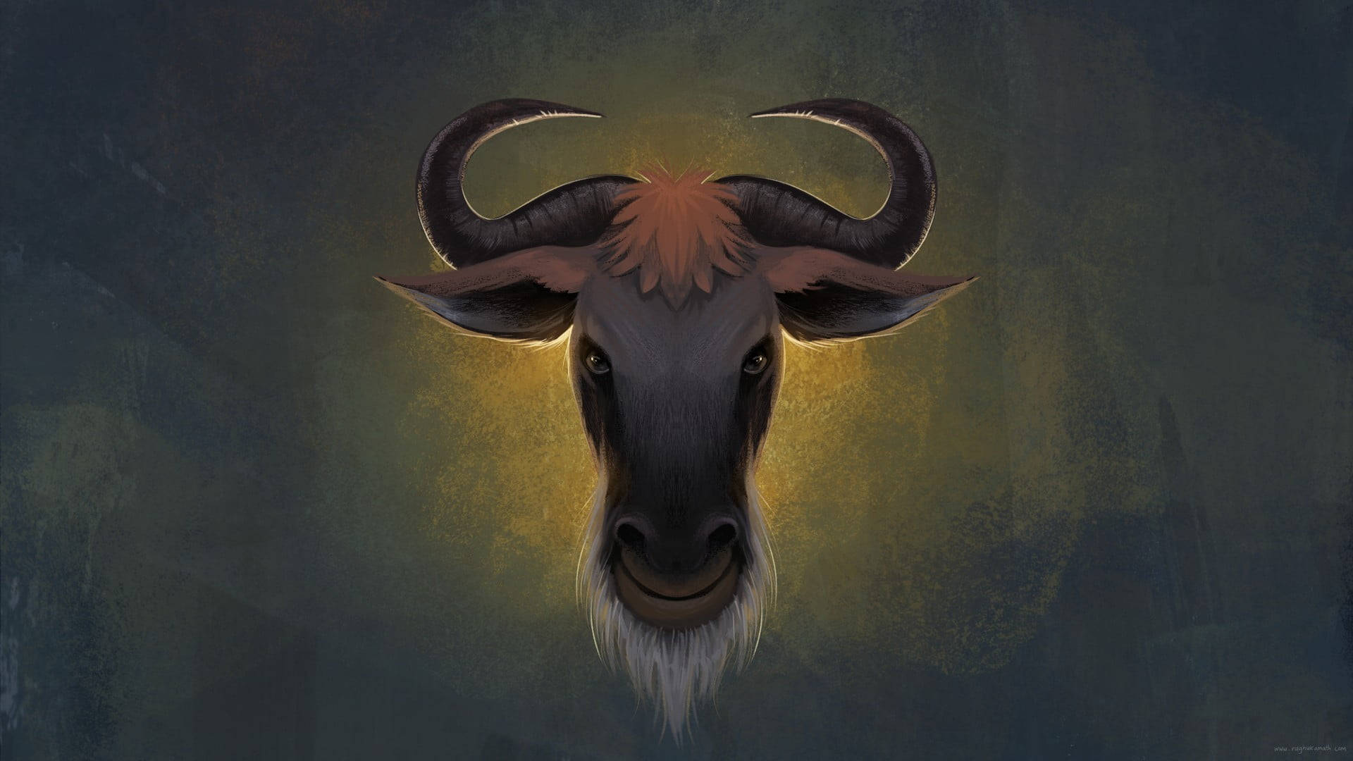 Buffalo Wallpaper