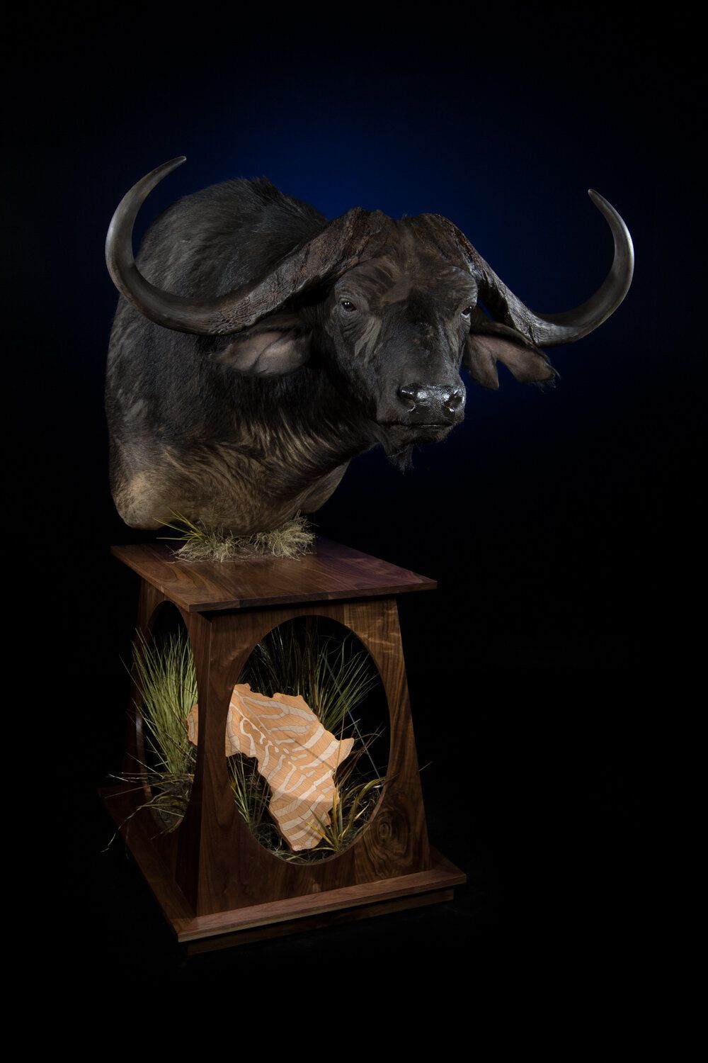 The Wildlife Gallery Custom Taxidermy Studio Buffalo Taxidermy Photo. The Wildlife Gallery