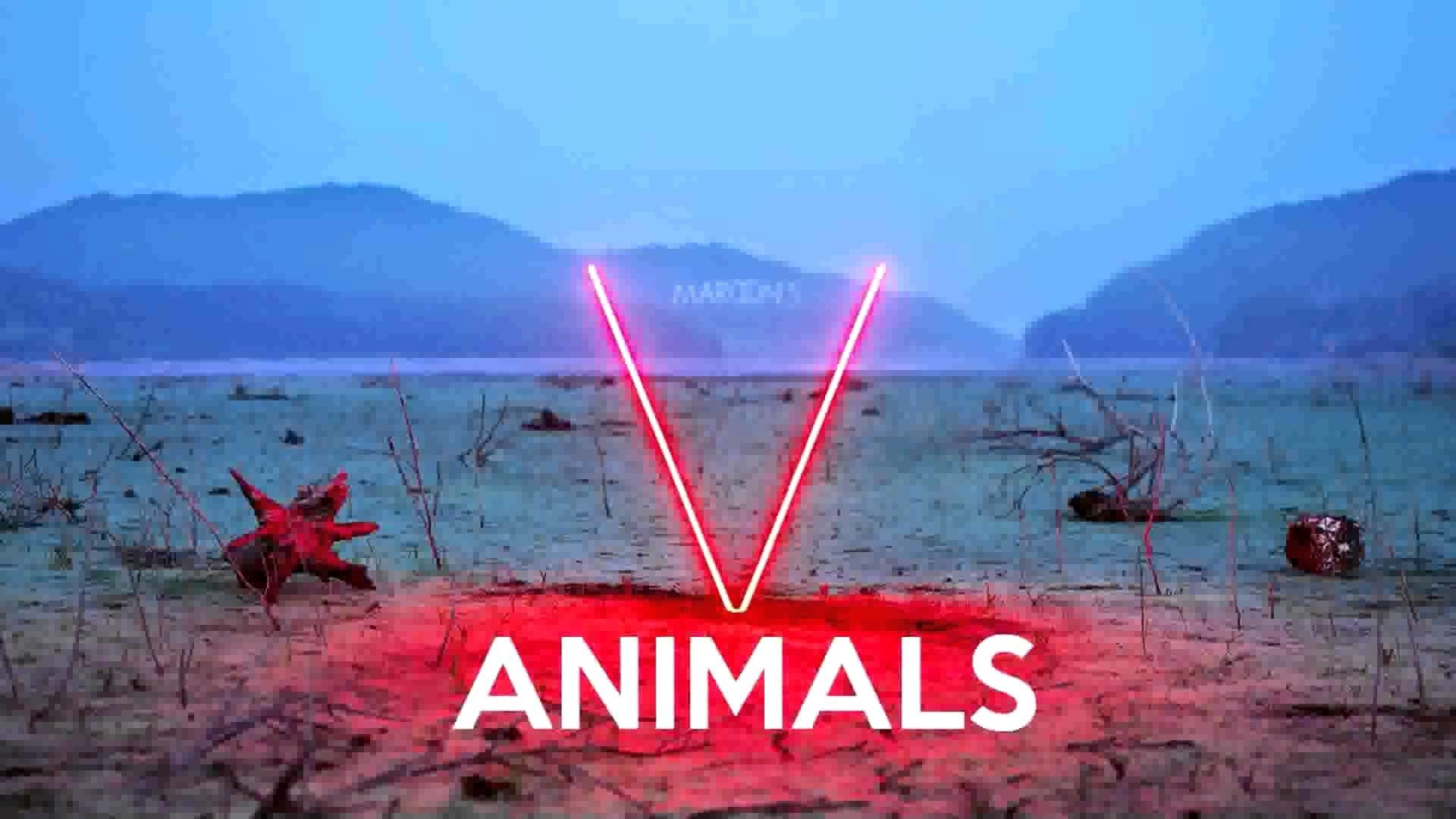 Maroon 5 Animals Wallpaper