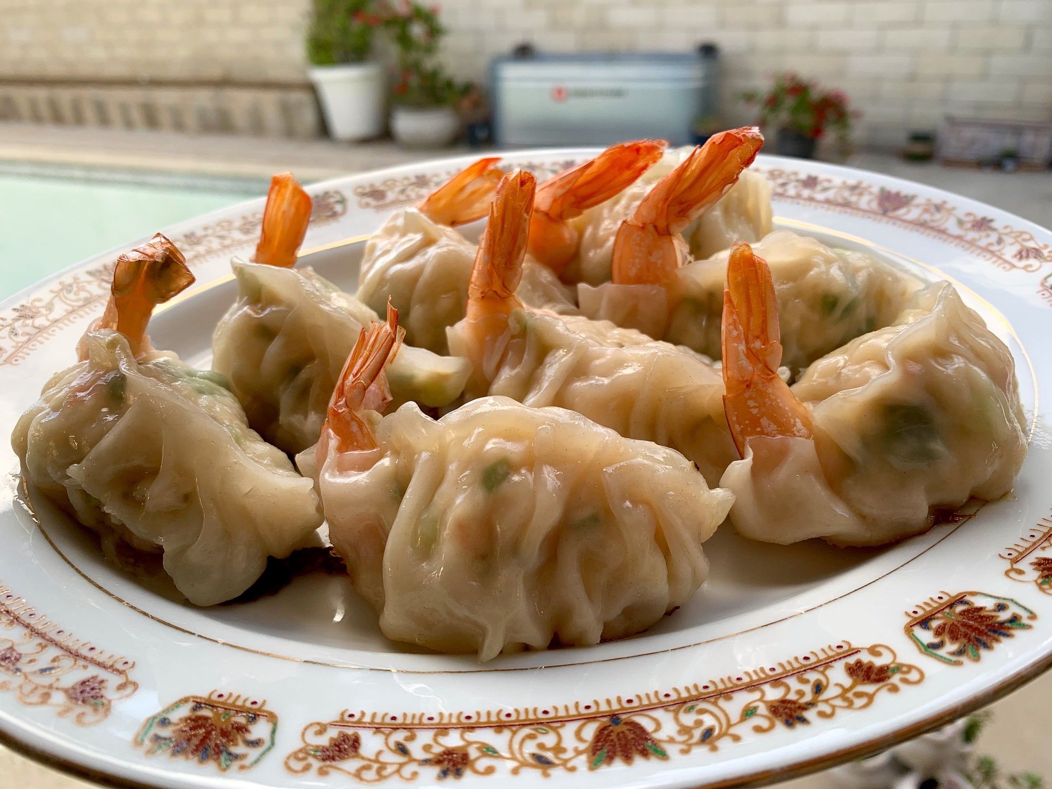 Shrimp and Tofu Dumplings