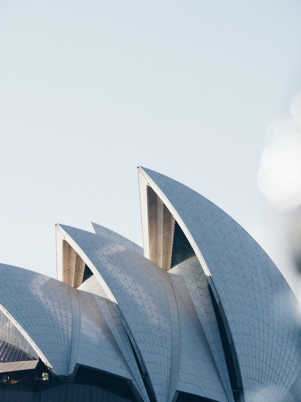 Sydney Opera House Picture. Download Free Image