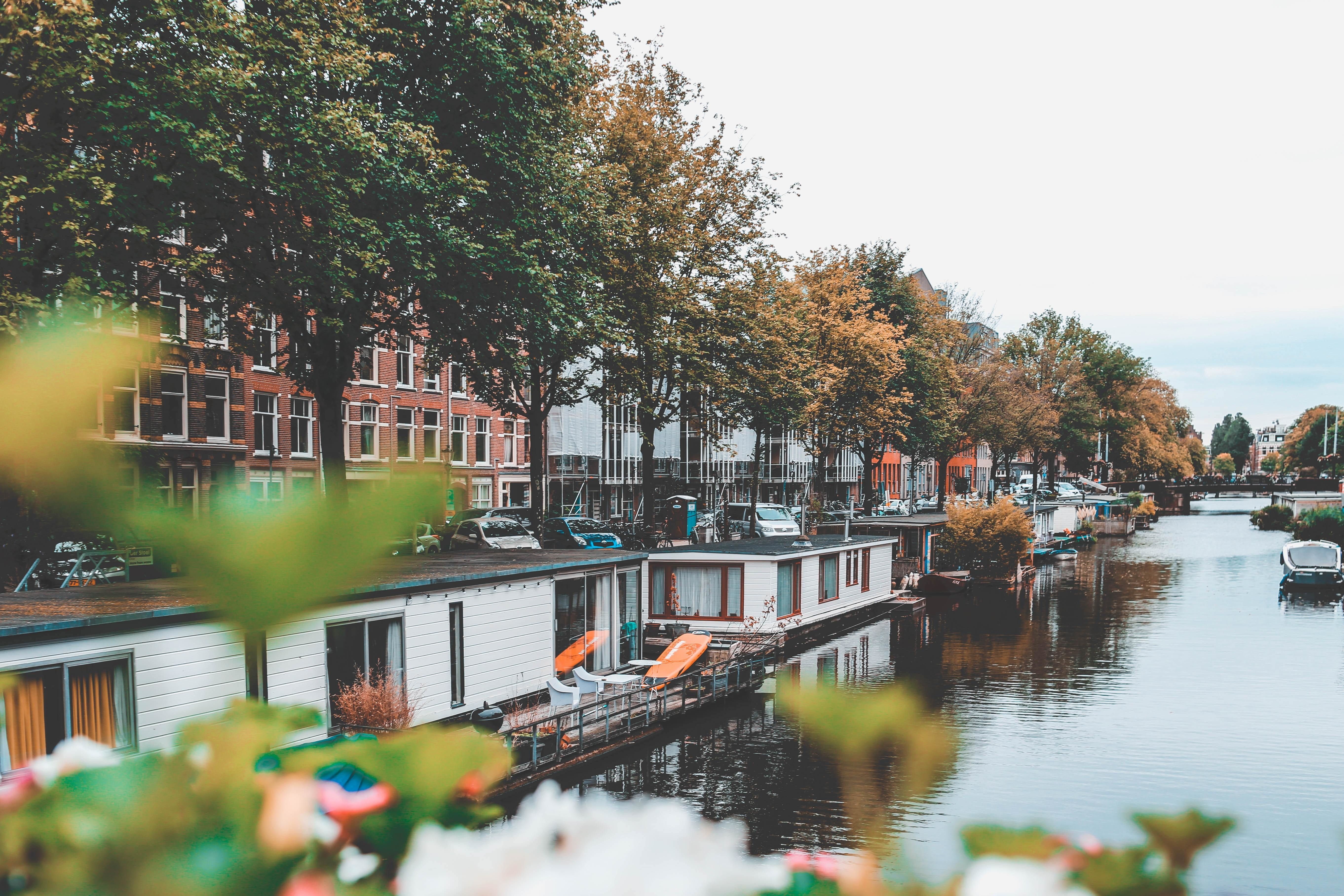 Meet 'The Float', a sustainable floating home made from cork. World Economic Forum - 