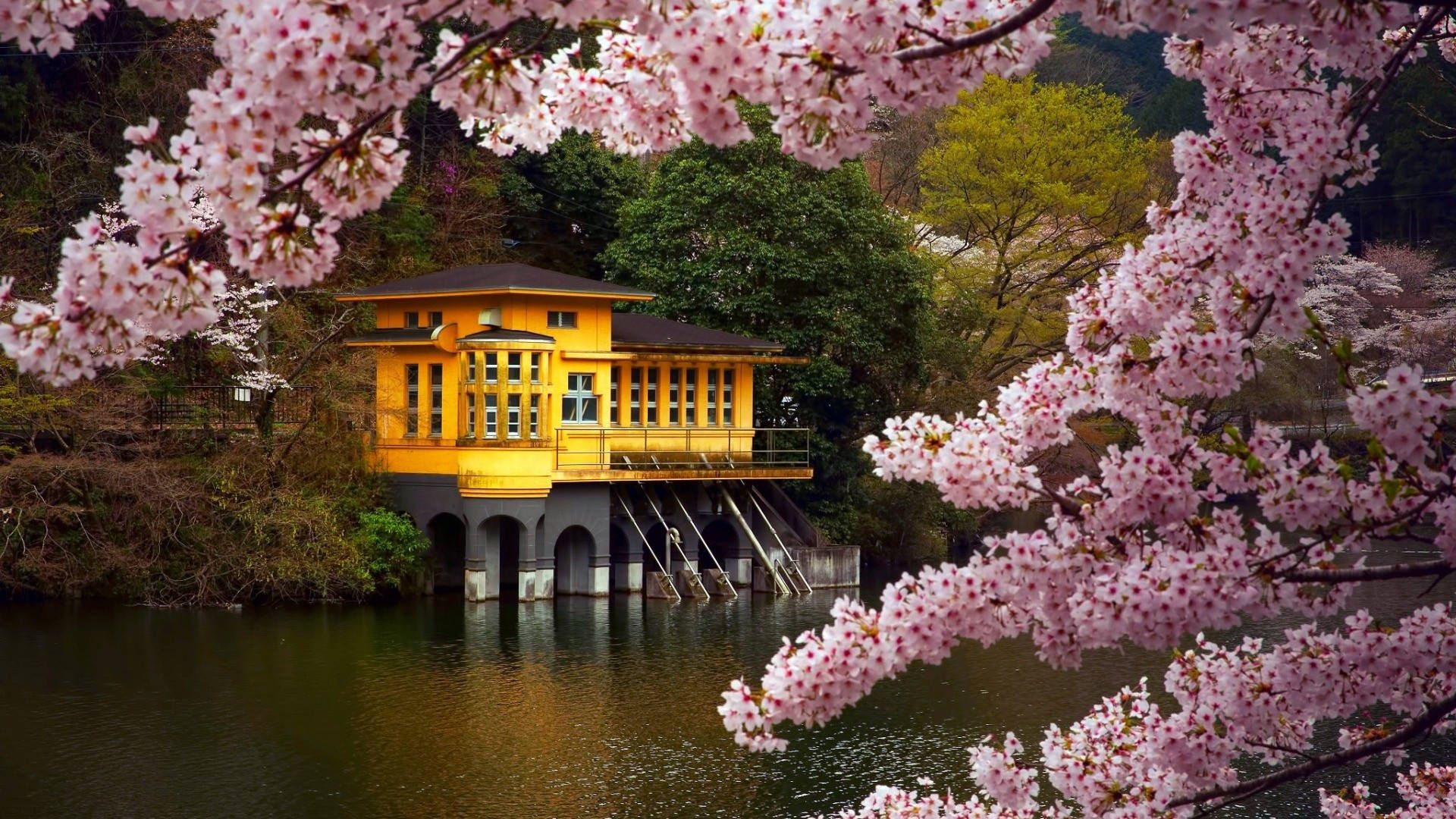 Download Floating House Japanese Nature Wallpaper - 