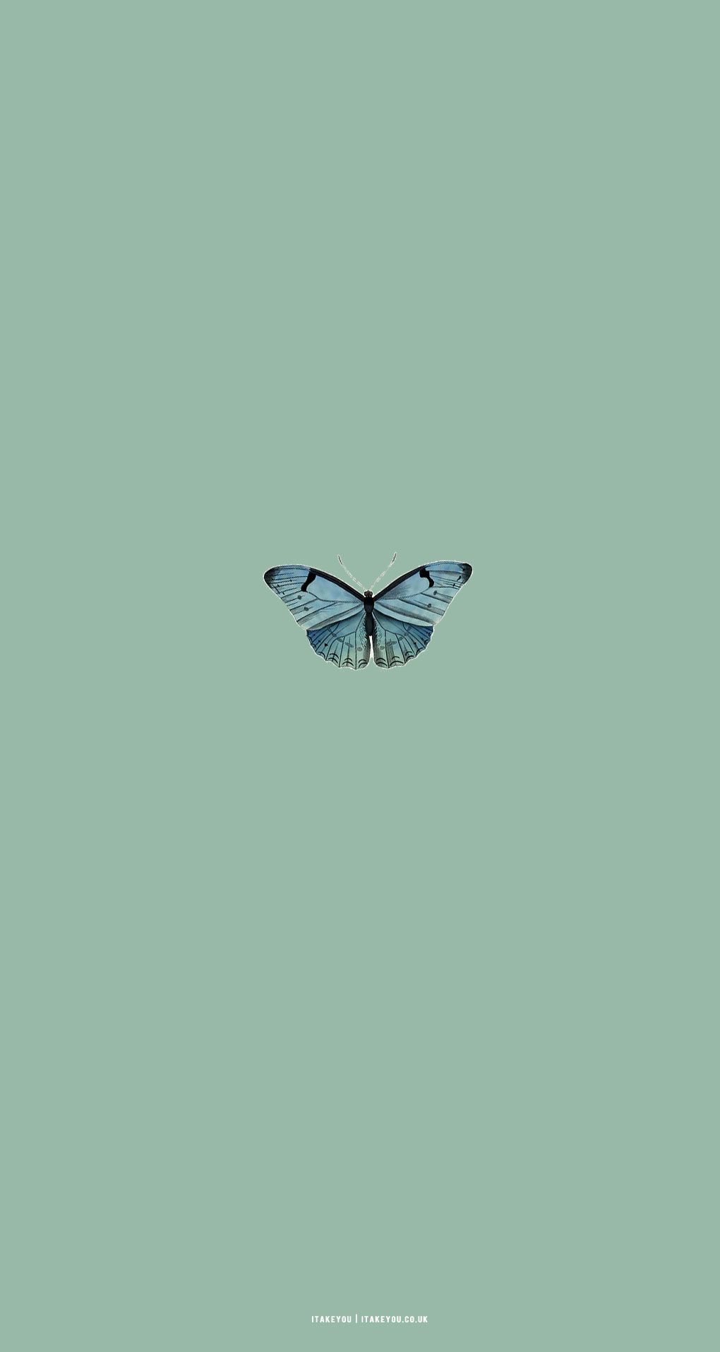 Sage Green Minimalist Wallpaper for Phone : A Butterfly I Take You. Wedding Readings. Wedding Ideas