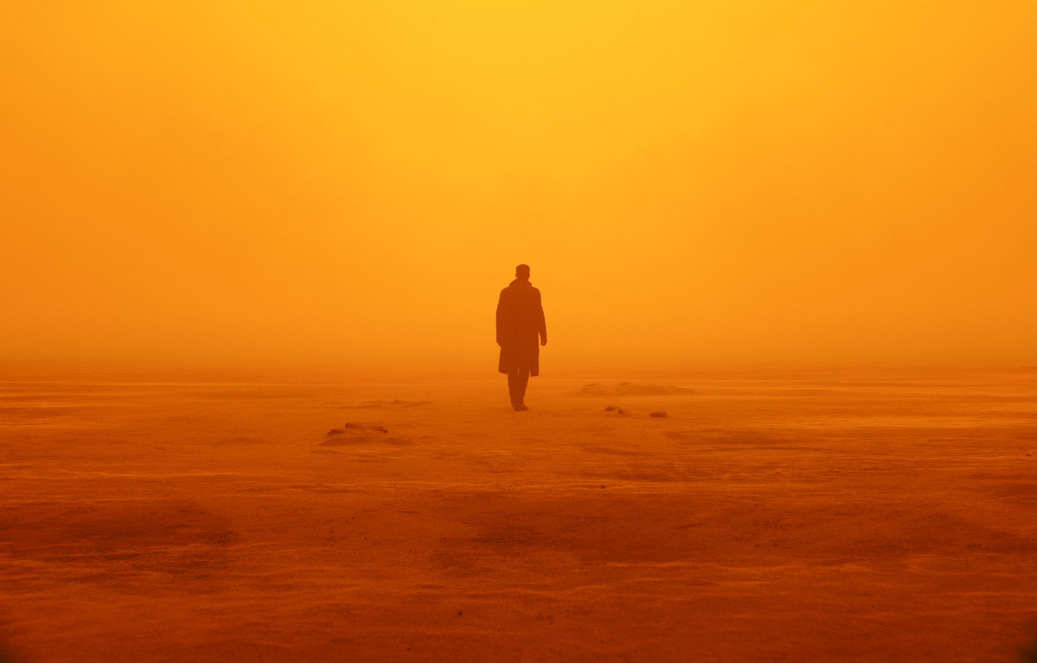 Blade Runner 2049 HD Wallpaper and Background