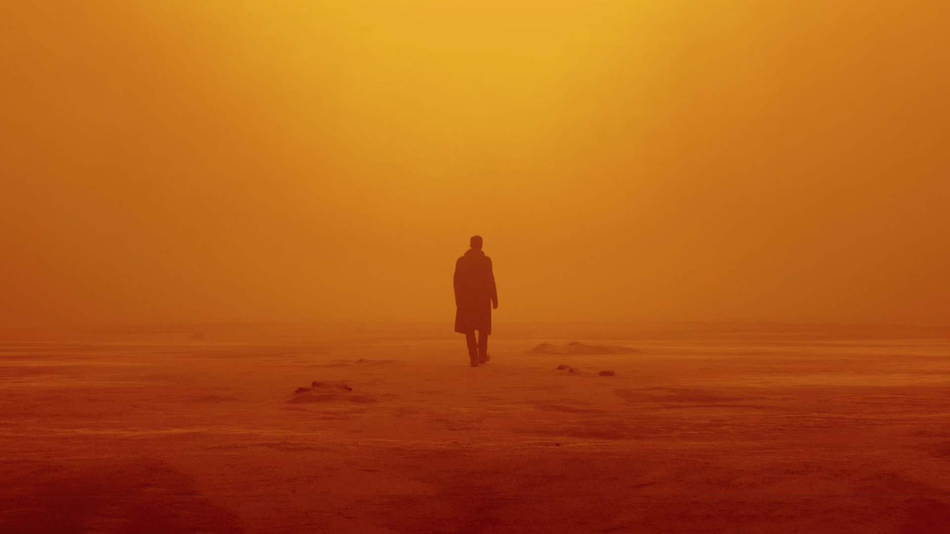 Free Blade Runner 2049 Wallpaper Dowding