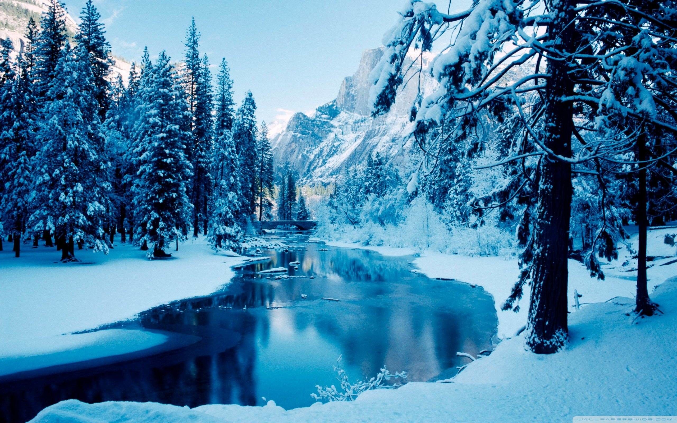 Snowy Landscape Wallpaper