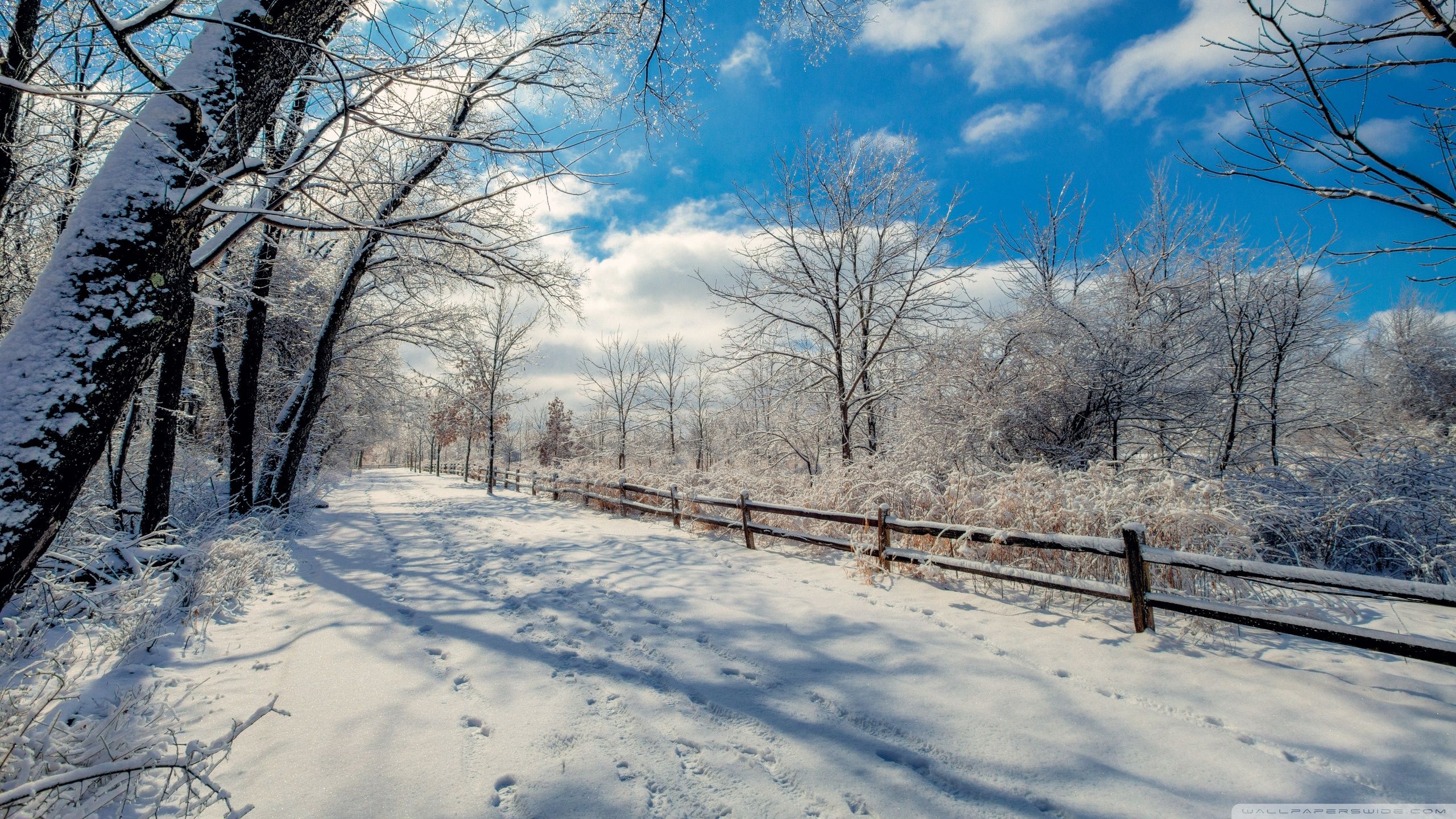 Snowy Road, Winter Landscape Ultra HD Desktop Background Wallpaper for 4K UHD TV : Widescreen & UltraWide Desktop & Laptop : Tablet