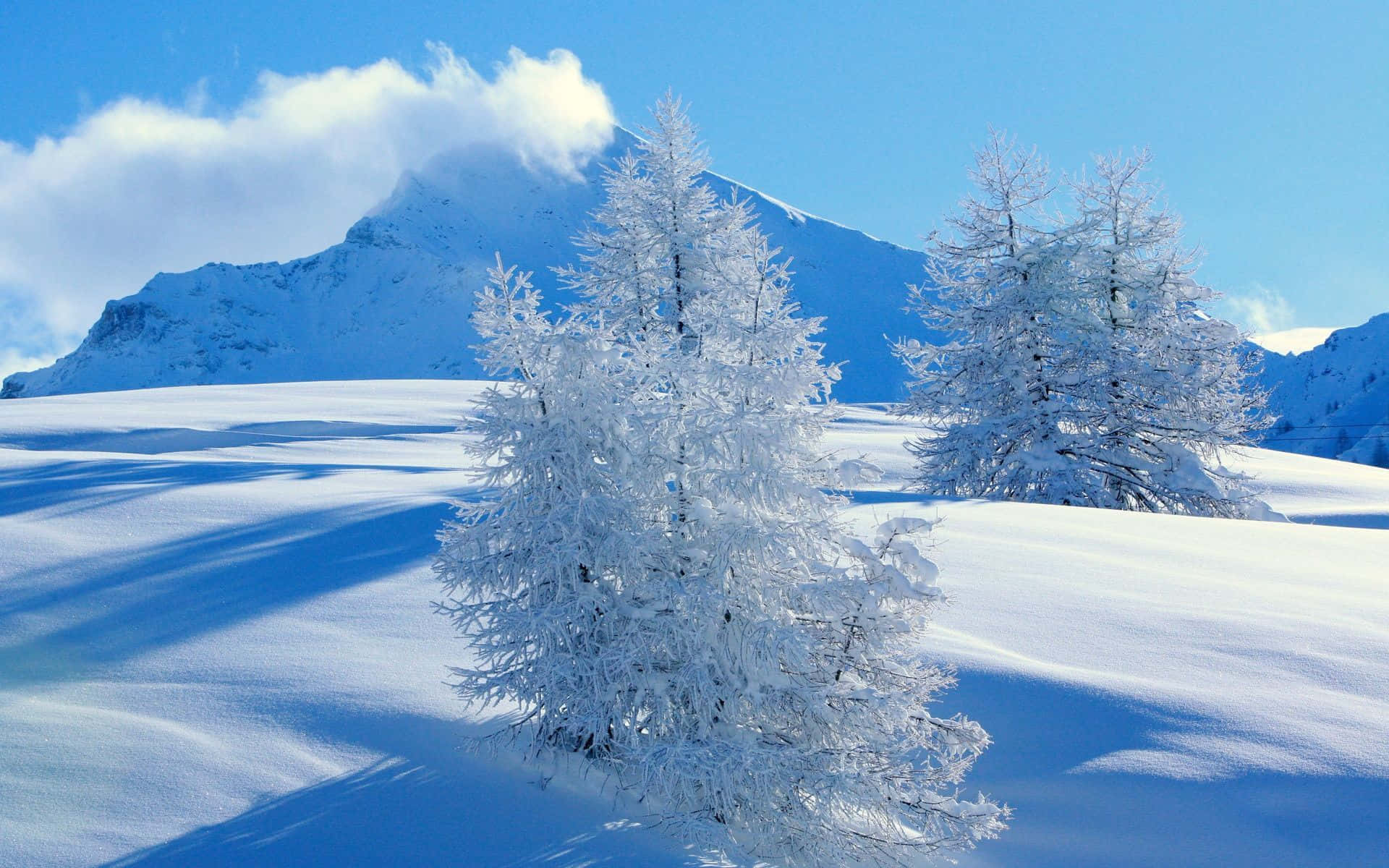 Download Serene Snowy Landscape Wallpaper