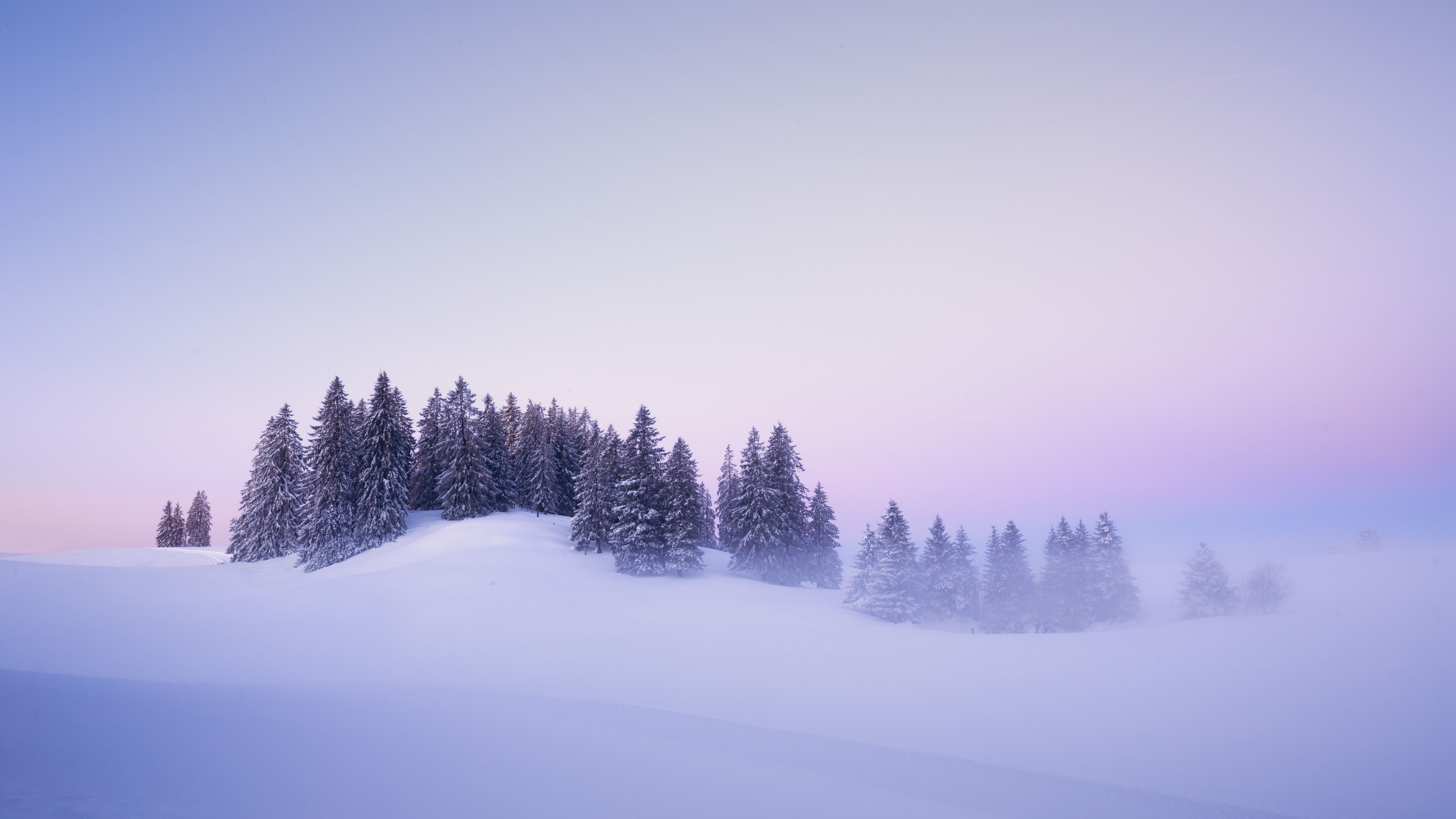 Winter Wallpaper 4K, Snow covered, Foggy, Trees