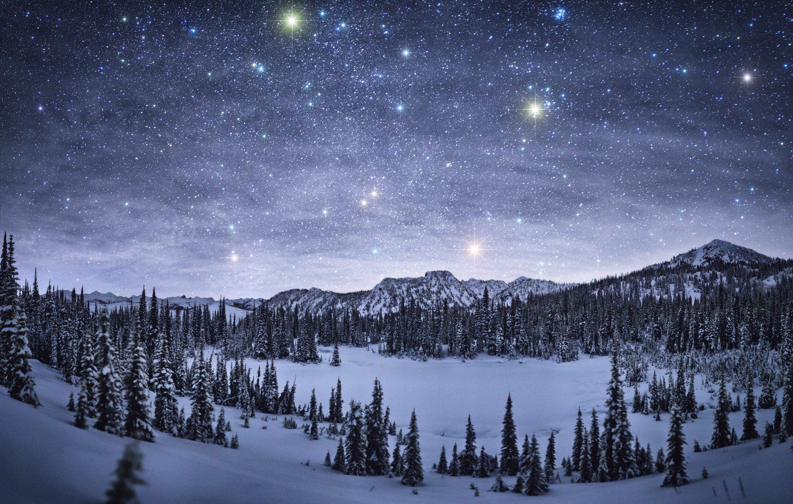 Starry Night over Winter Landscape