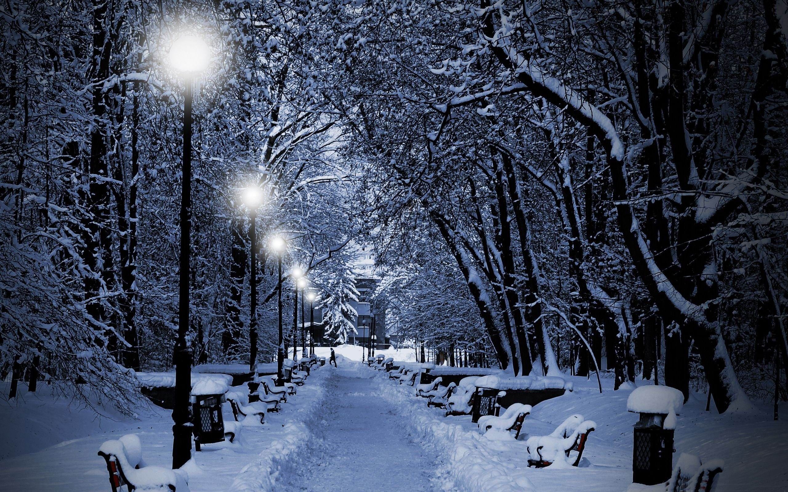 Snowy Park At Night Winter Natural Landscape Wallpaper