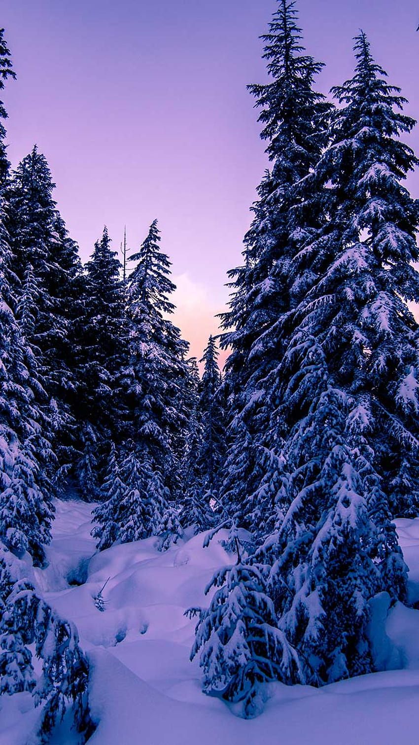 X winter landscapes iphone collection HD wallpaper