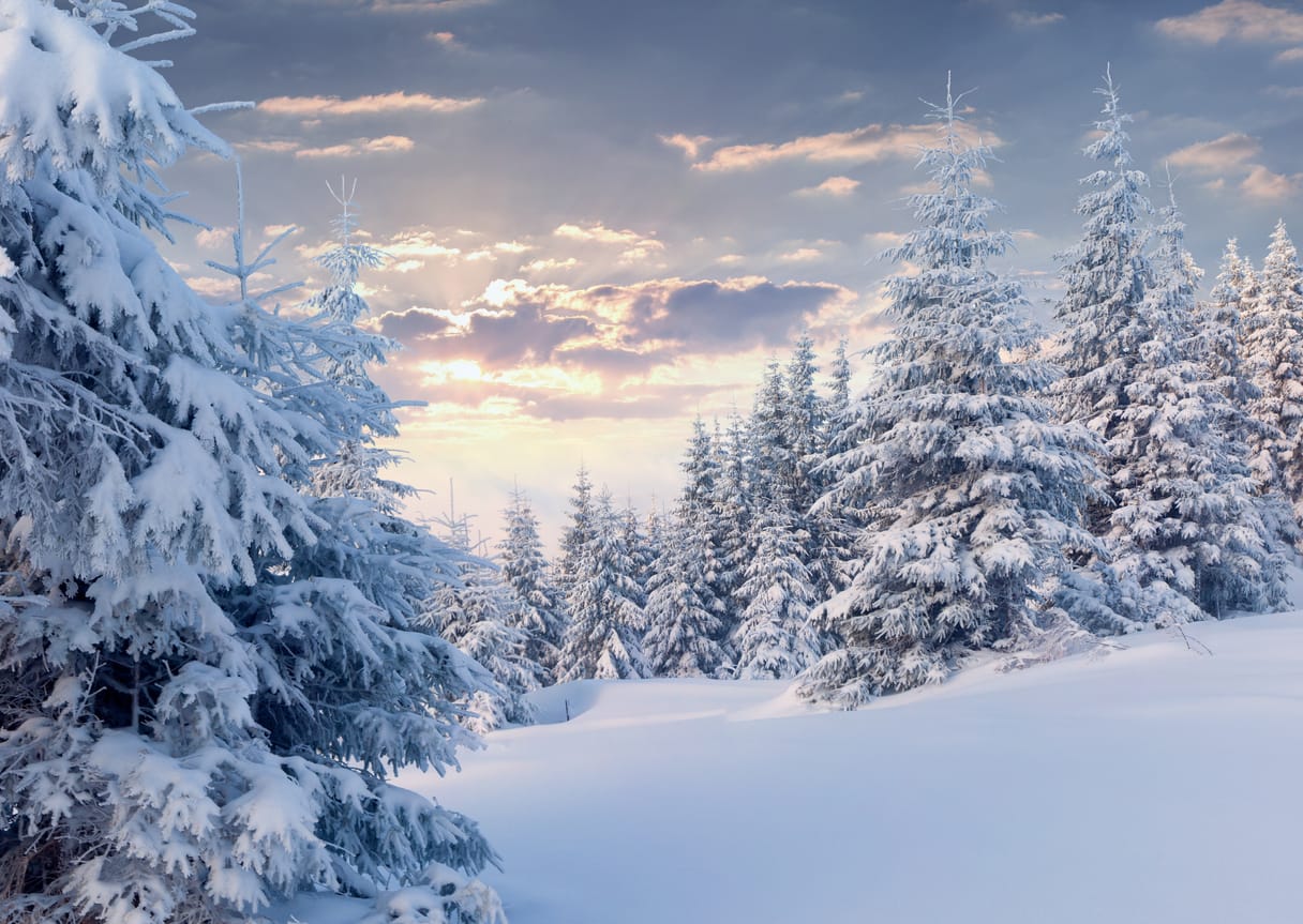 Imagination Meditation: Snowy Winter Landscape Joyful Dabbler