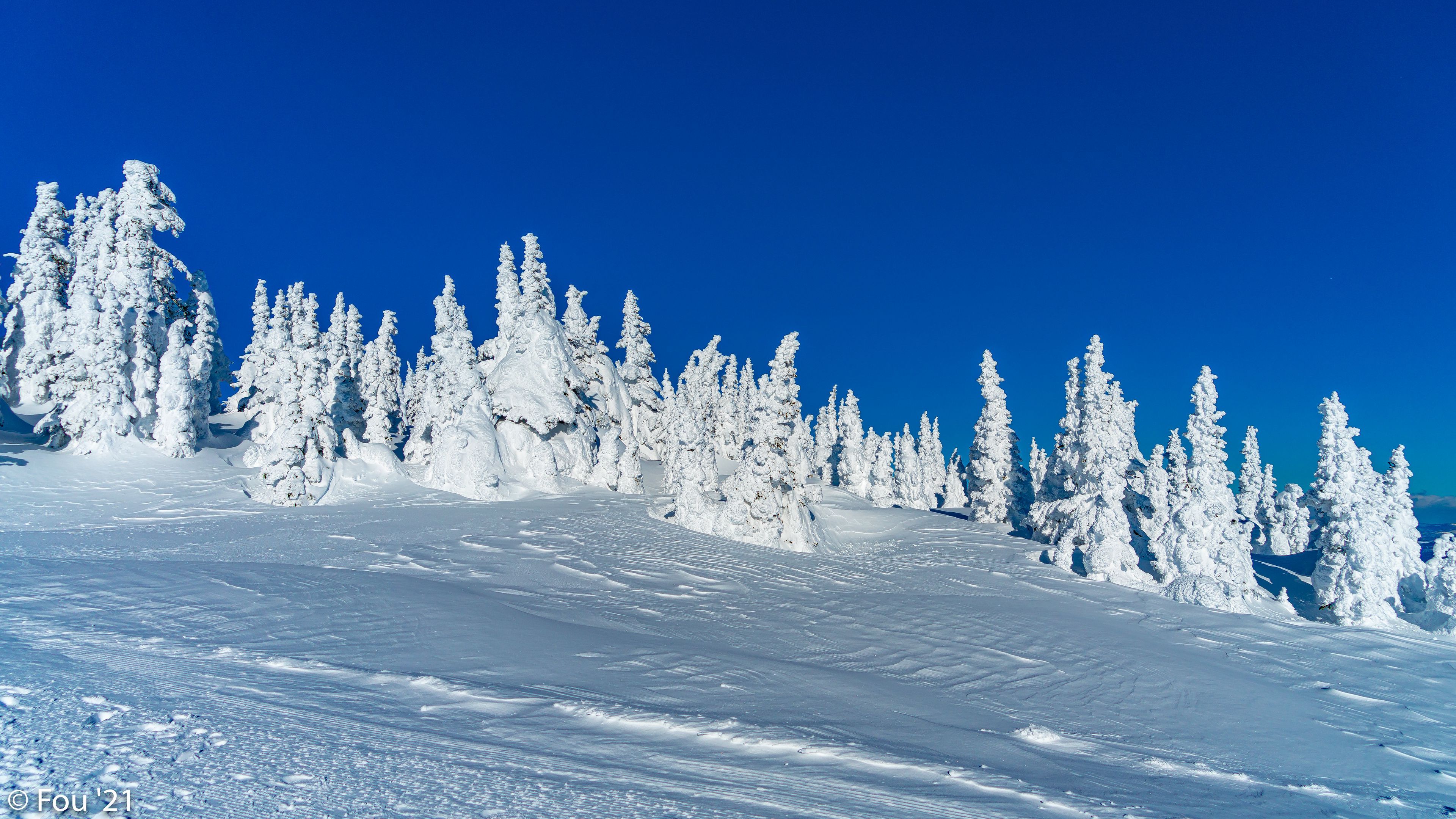 Download wallpaper 3840x2160 snow, trees, winter, snowy, landscape 4k uhd 16:9 HD background