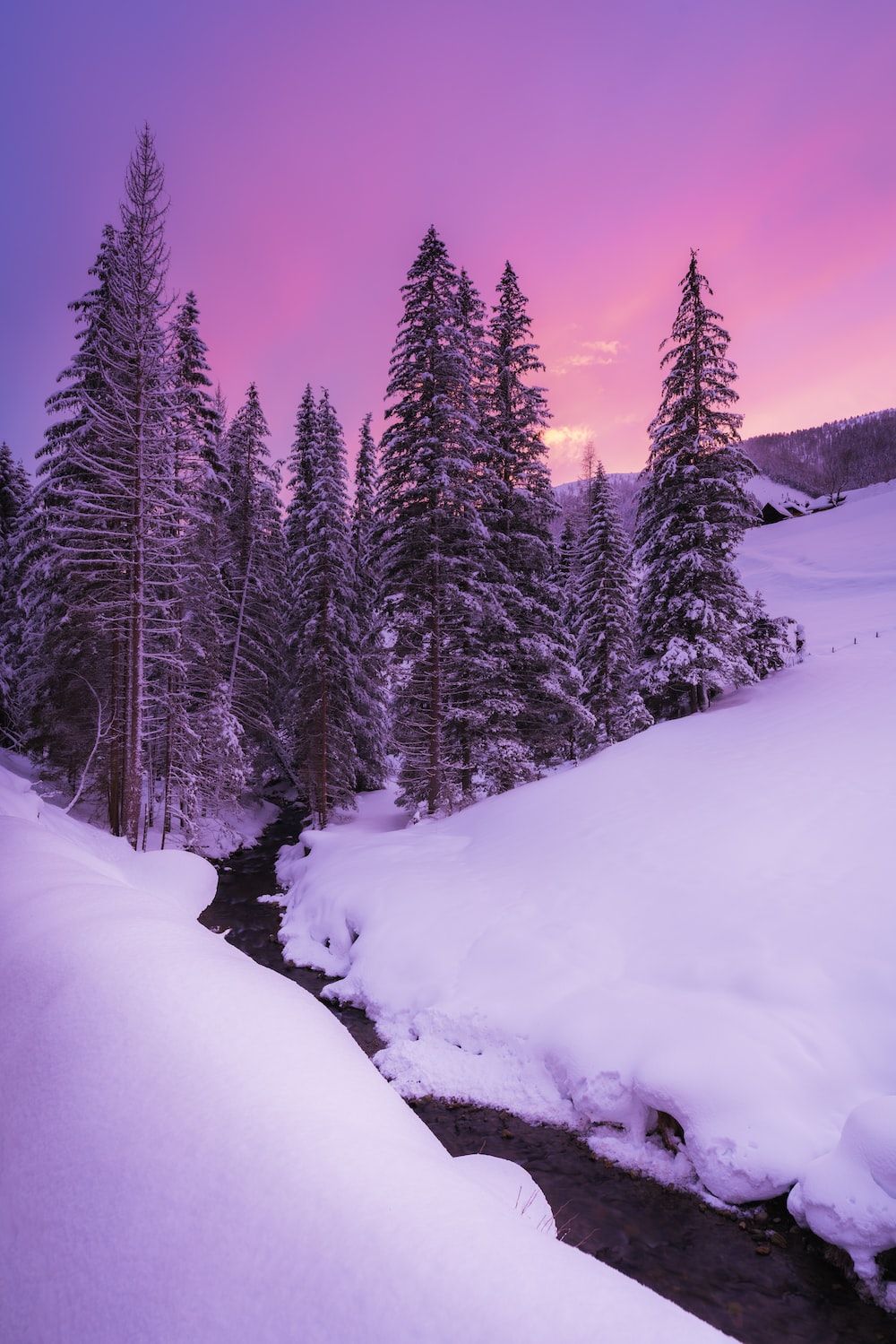 Winter Landscape Picture [Stunning!]. Download Free Image