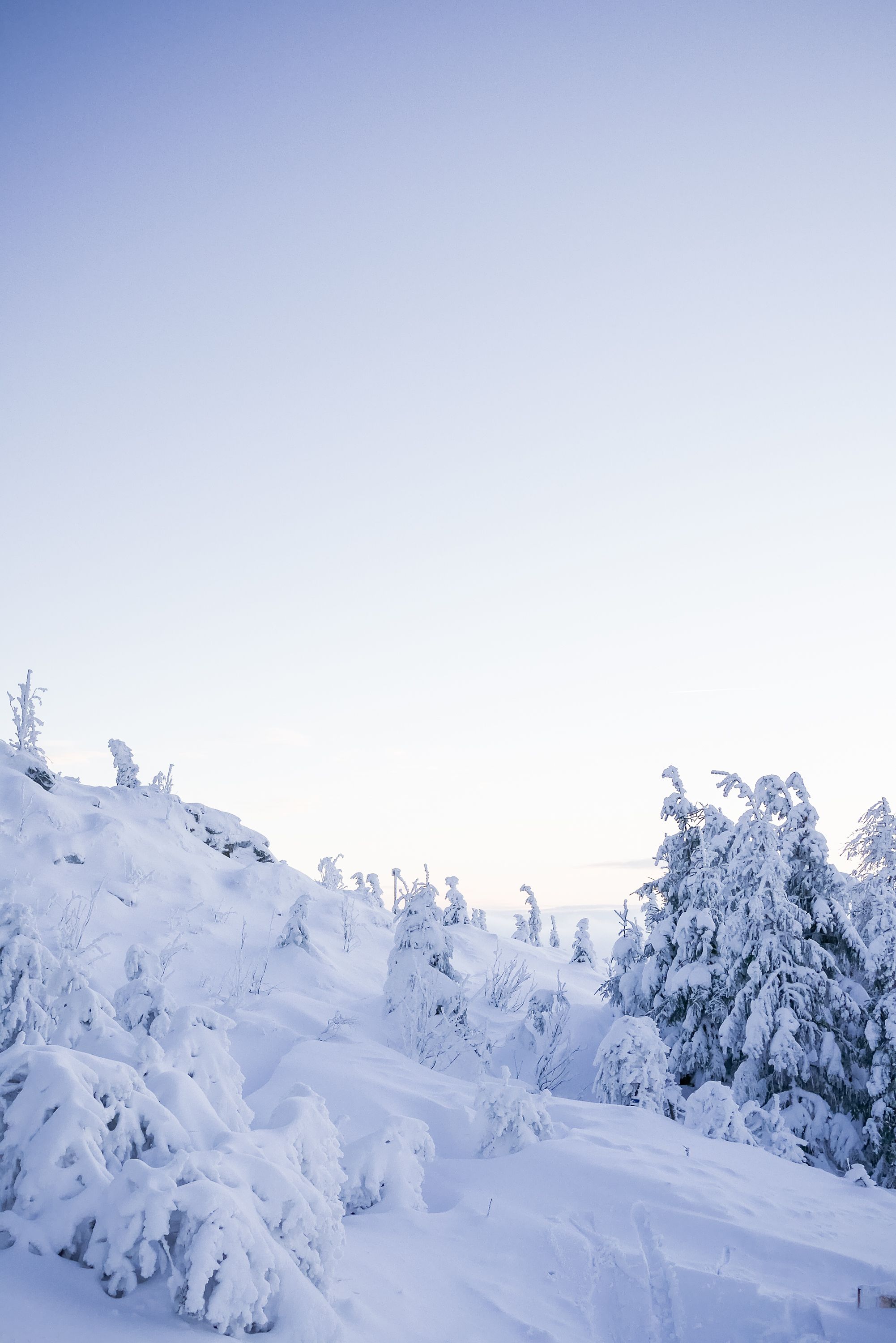 Snow Covered Landscape Free