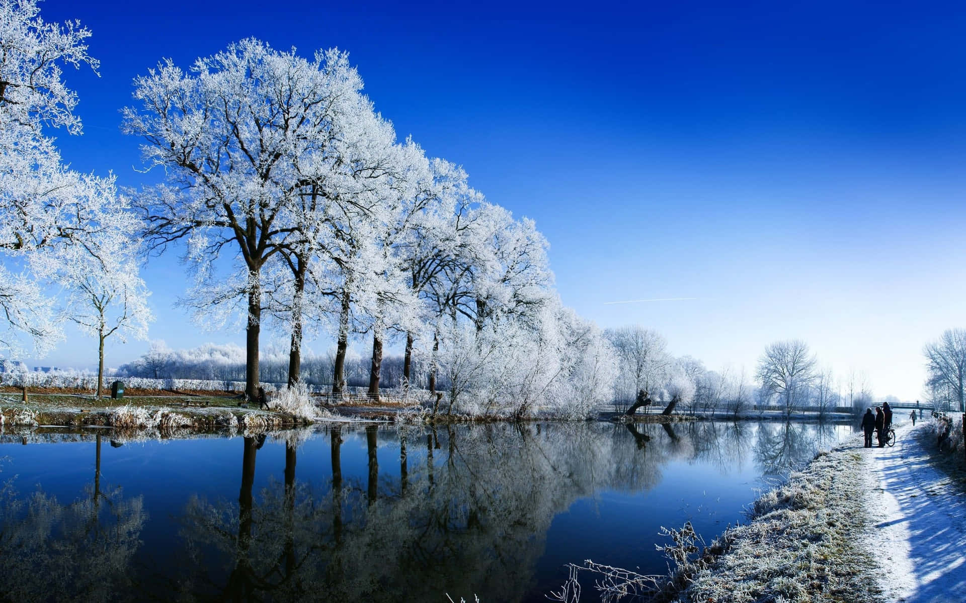 Snowy Landscape Wallpaper