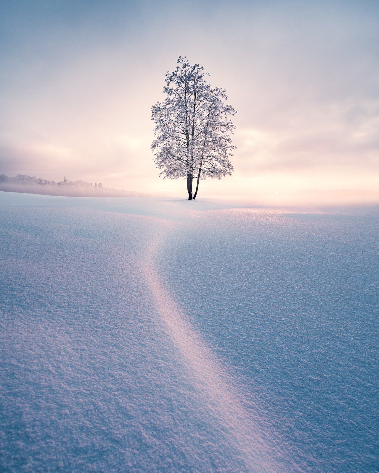 Mikko Lagerstedt Photographs the Quiet Grandeur of Snowy Nordic Landscapes