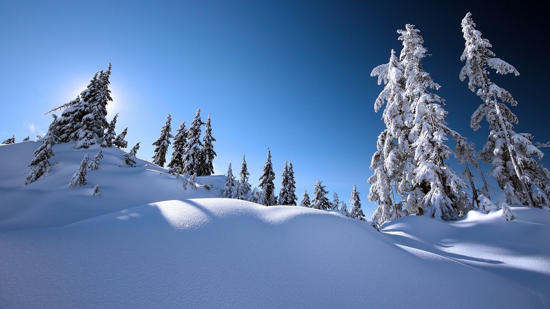 Snowy landscape