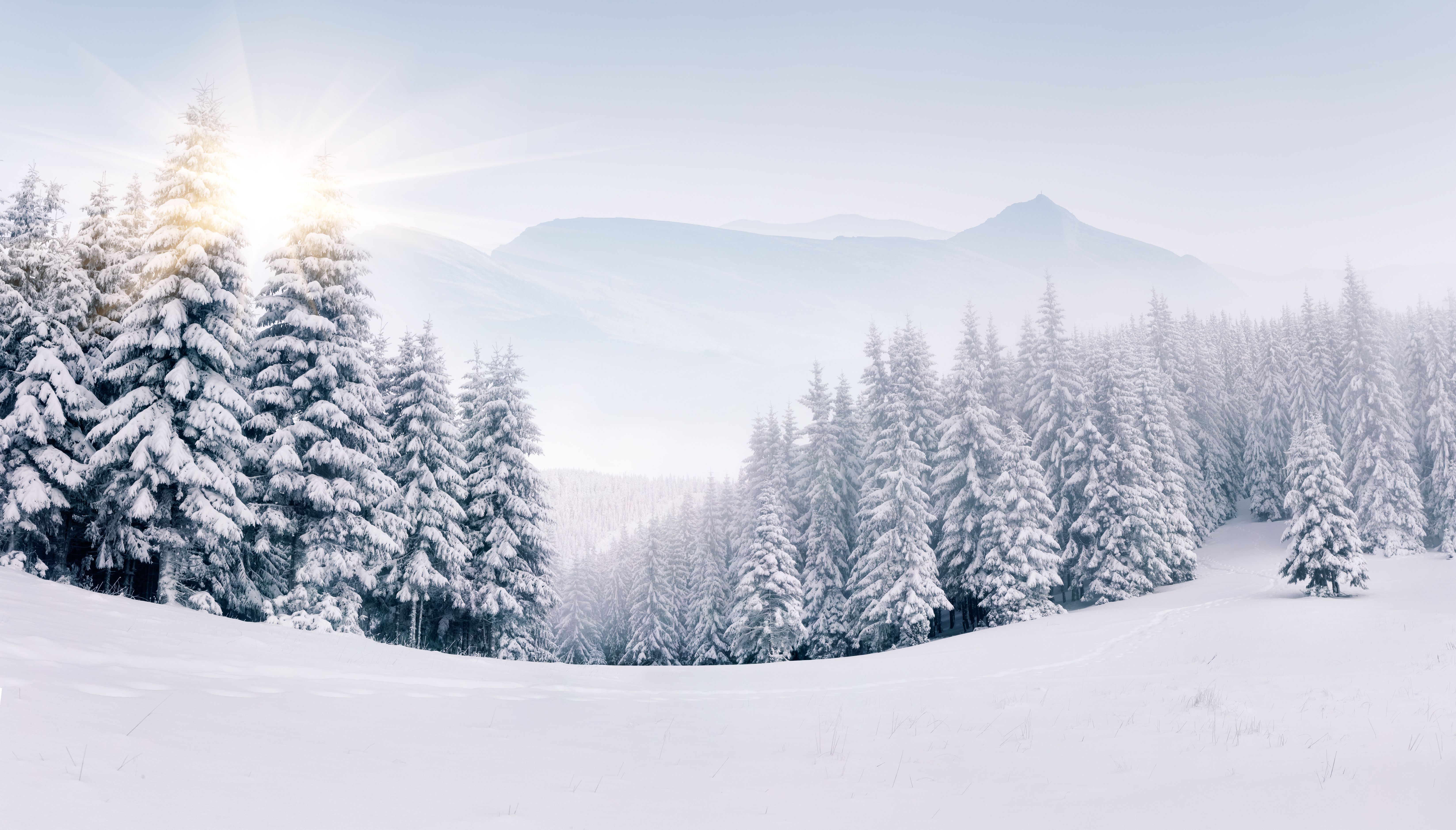 Nature Winter 4k Ultra HD Wallpaper