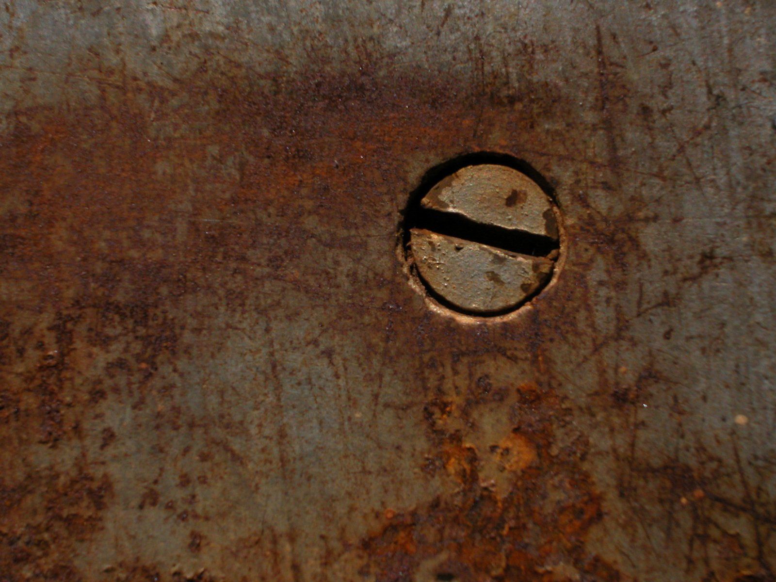 rusty metal with screw Free Photo Download