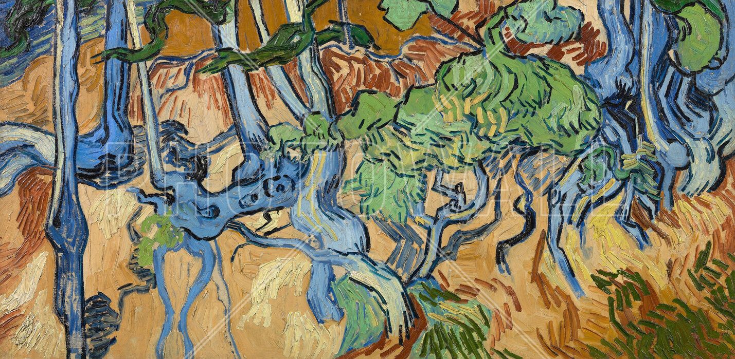 Tree Roots Van Gogh