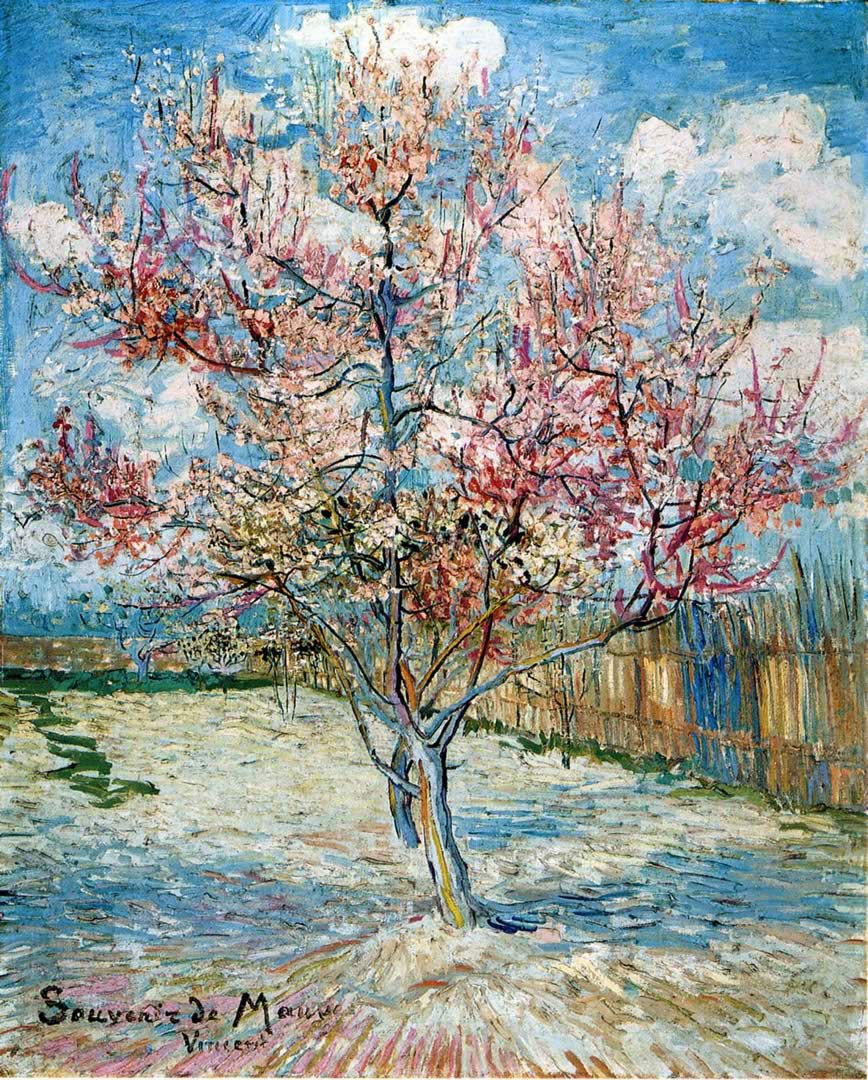 Peach Trees In Blossom 2 Van Gogh Wallpaper Image