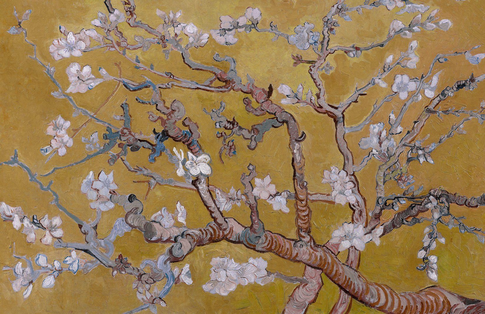 Yellow Almond Blossom Wall Mural