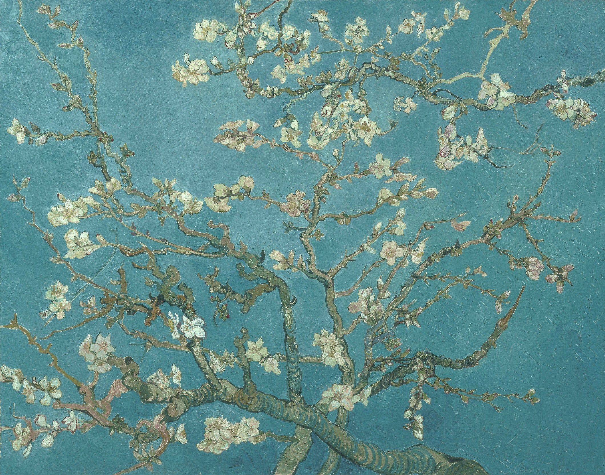 Vincent van Gogh Almond Blossoms Wall Mural