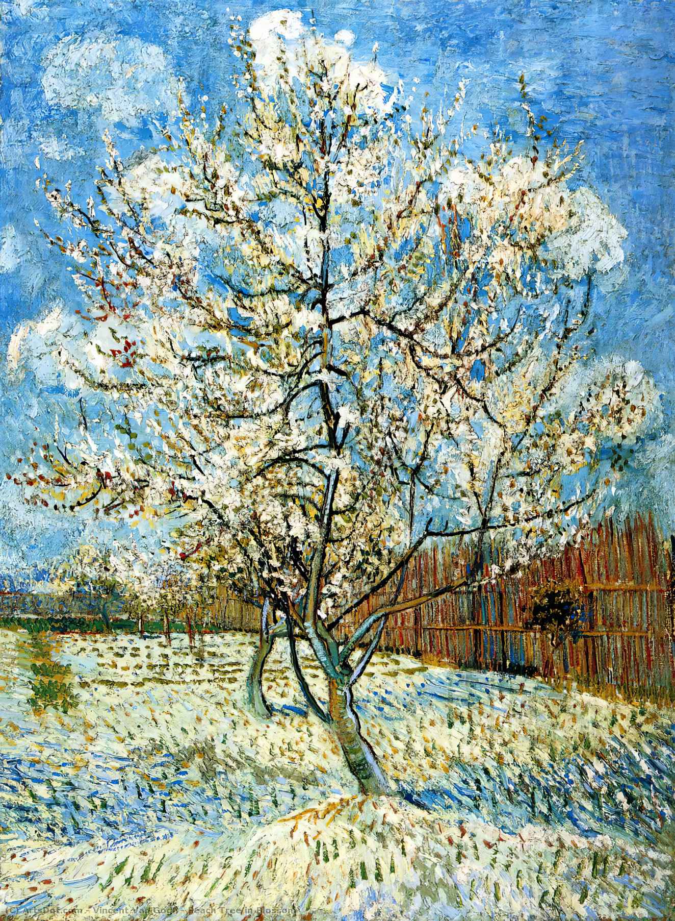 Oil Painting Replica Peach Tree in Blossom, 1888 by Vincent Van Gogh (1853- Netherlands)