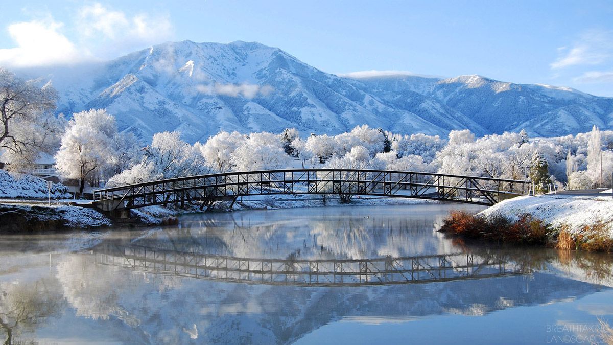 Beautiful winter landscapes