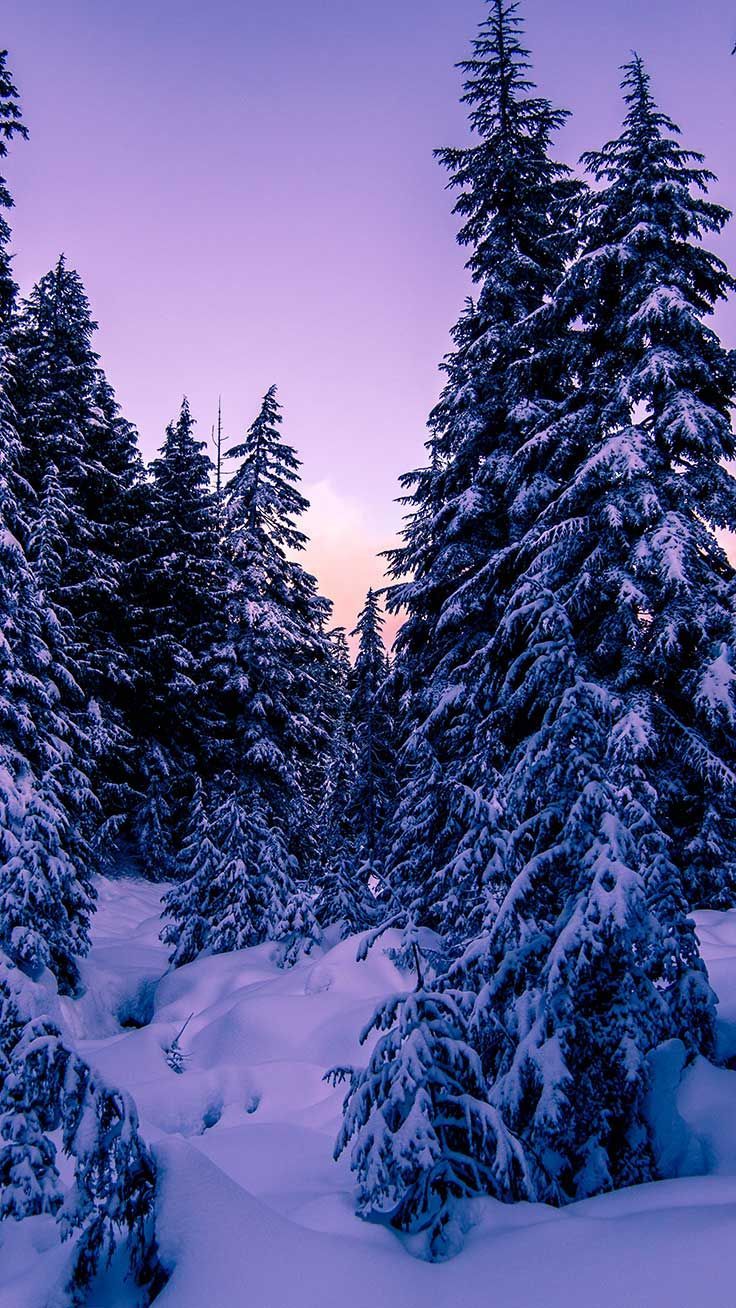 x Winter Landscapes iPhone Wallpaper Collection. Preppy Wallpaper. Winter landscape, Winter wallpaper, Winter scenery