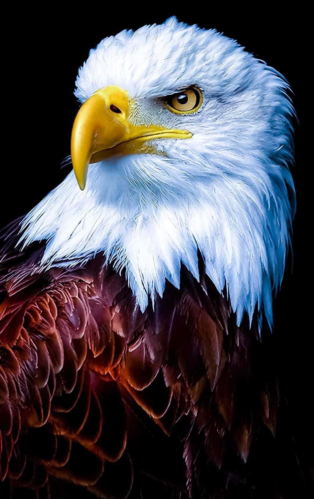 Eagle iPhone Wallpaper