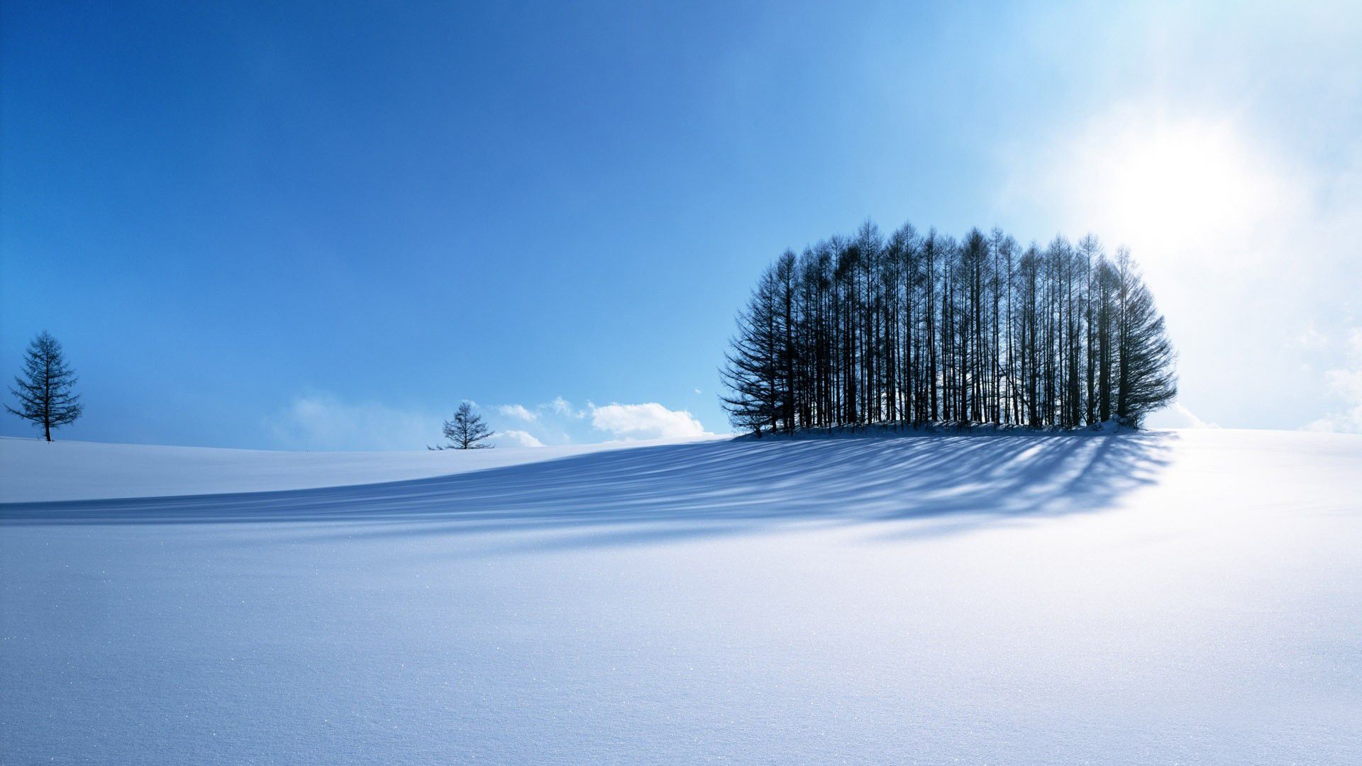 Winter Scenery Wallpaper