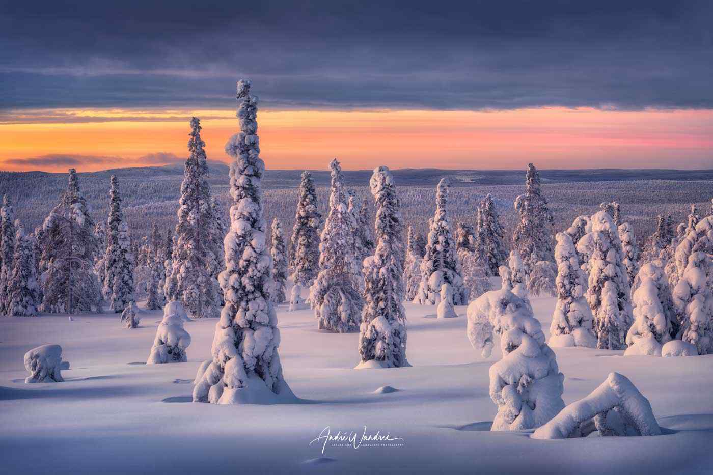 Winter landscapes in snowy Finland