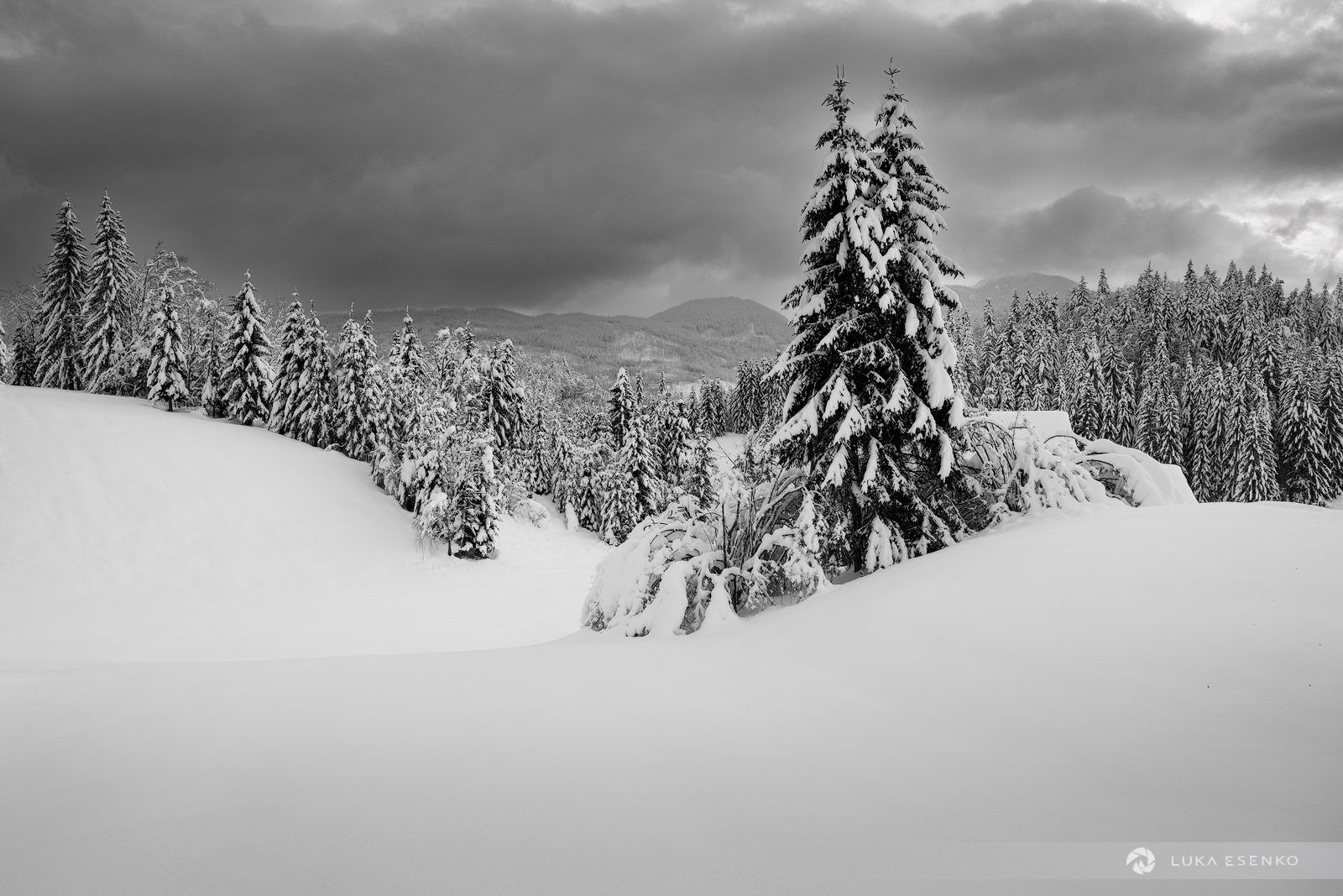 Winter Photo of Slovenia in BW • Luka Esenko