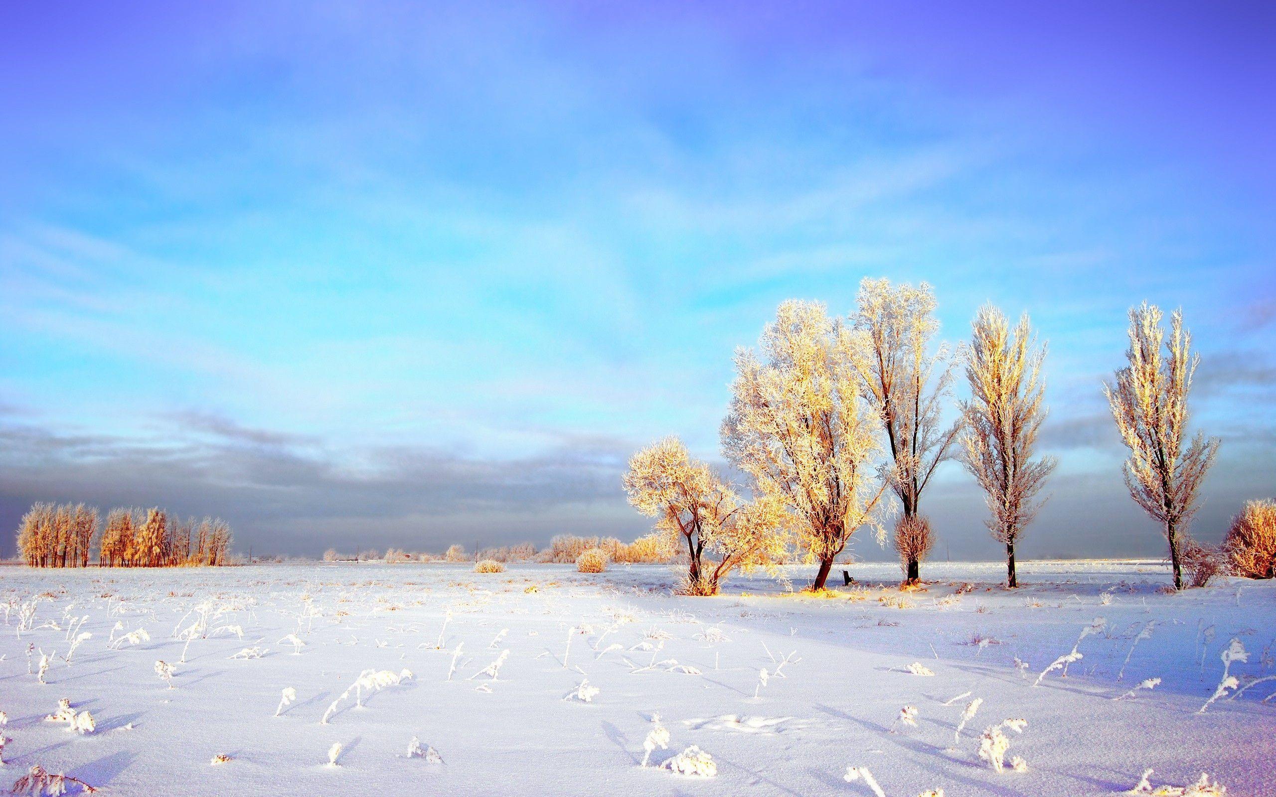 Winter Landscape Wallpaper