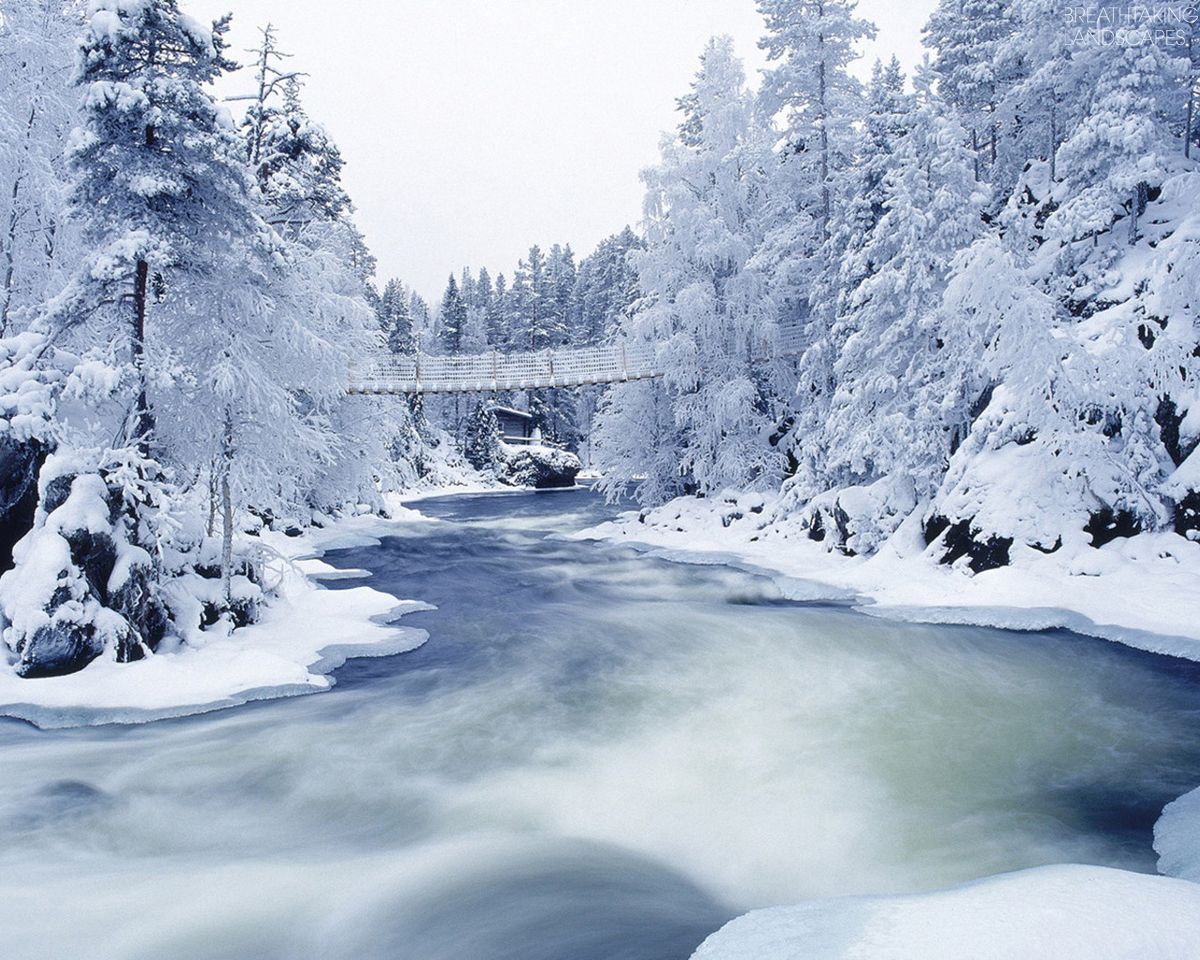 Beautiful winter landscapes